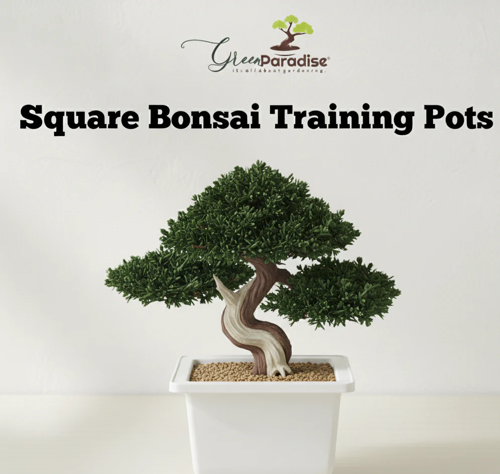 Green Paradise® Bonsai Pots Plastic Bonsai Training Pots (Square )(white ) - Image 5