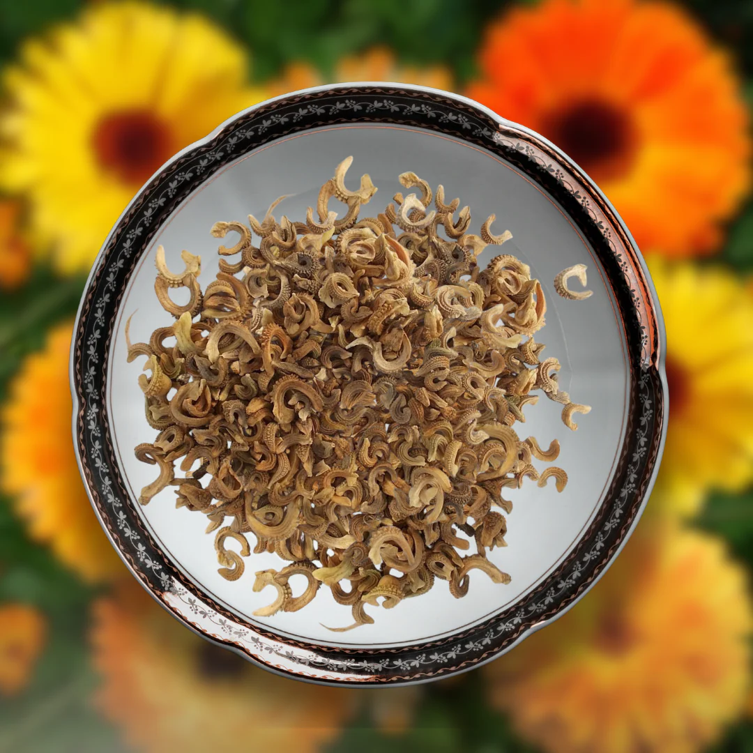 Green Paradise® Calendula Mix (Improved) Seeds Pack - Image 2