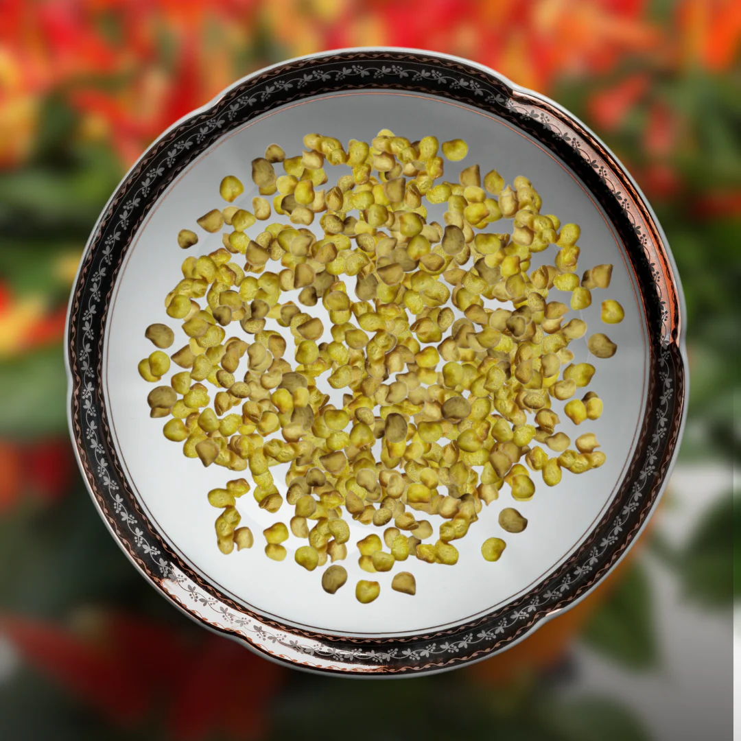 Green Paradise® Chilly Ornamental Seeds Pack - Image 2