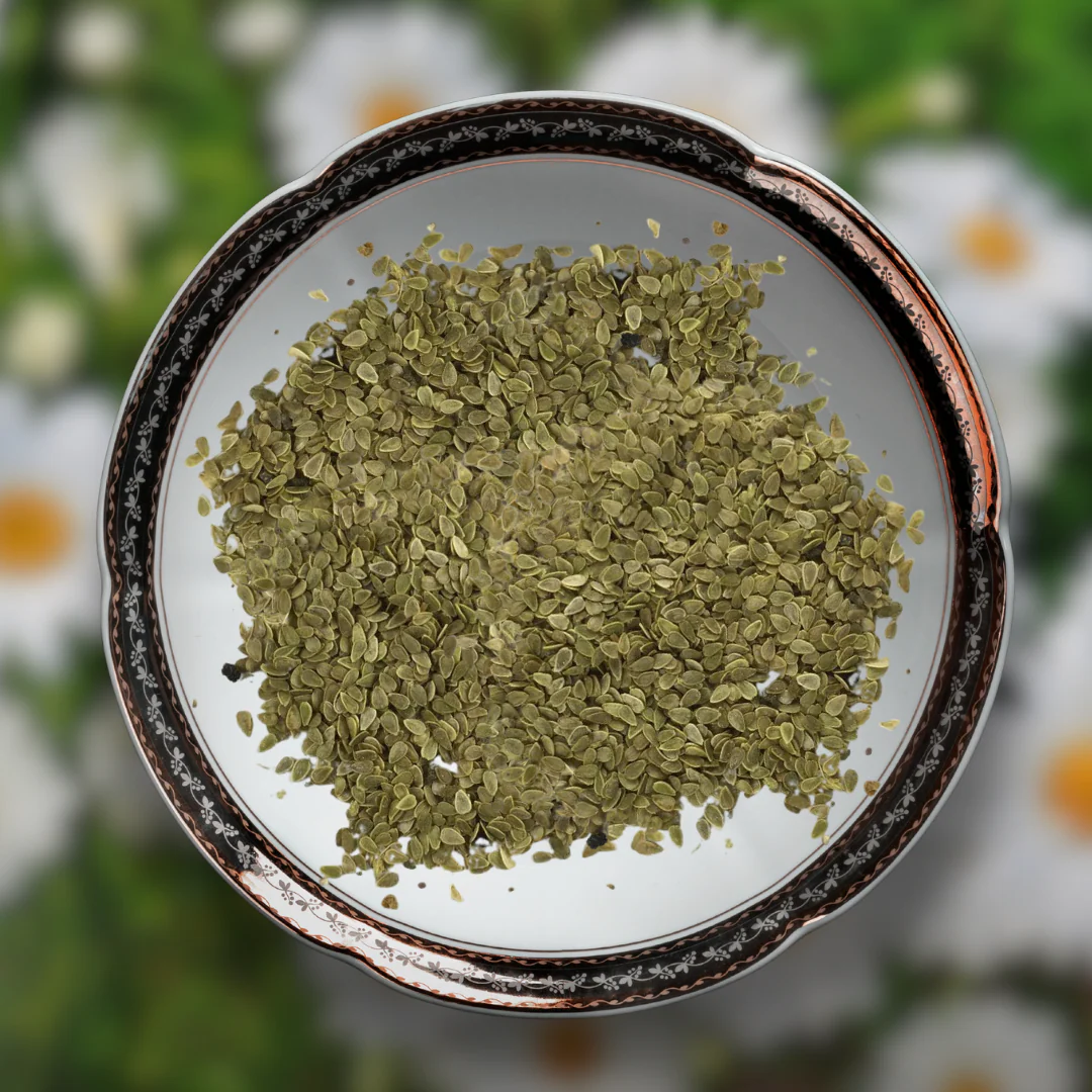 Green Paradise® Daisy Flowers (IMP) Seeds Pack - Image 2