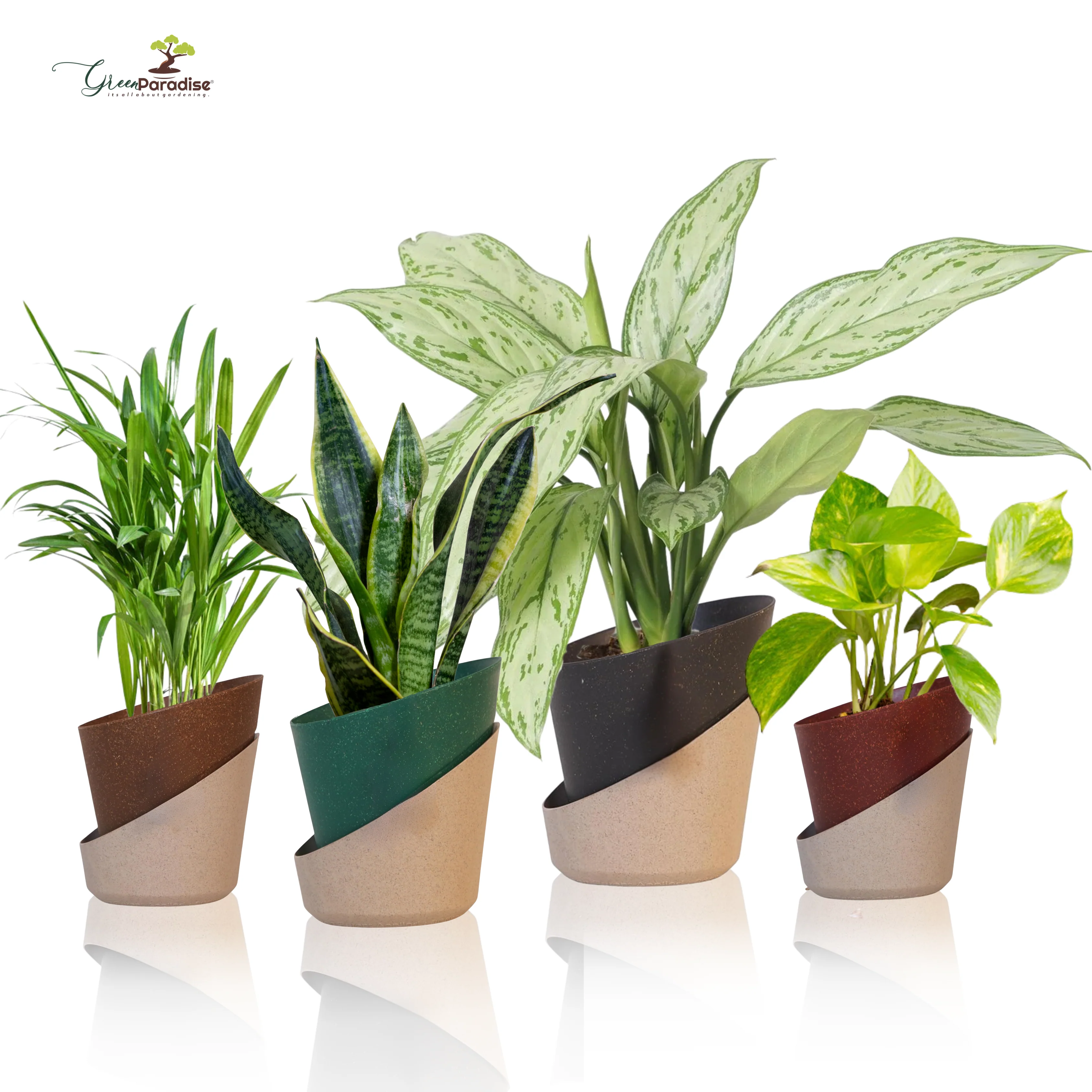 Green Paradise® Eco-Friendly Self Watering Pot – Modern Aesthetic & Sustainable Build (Random Colors) - Image 10