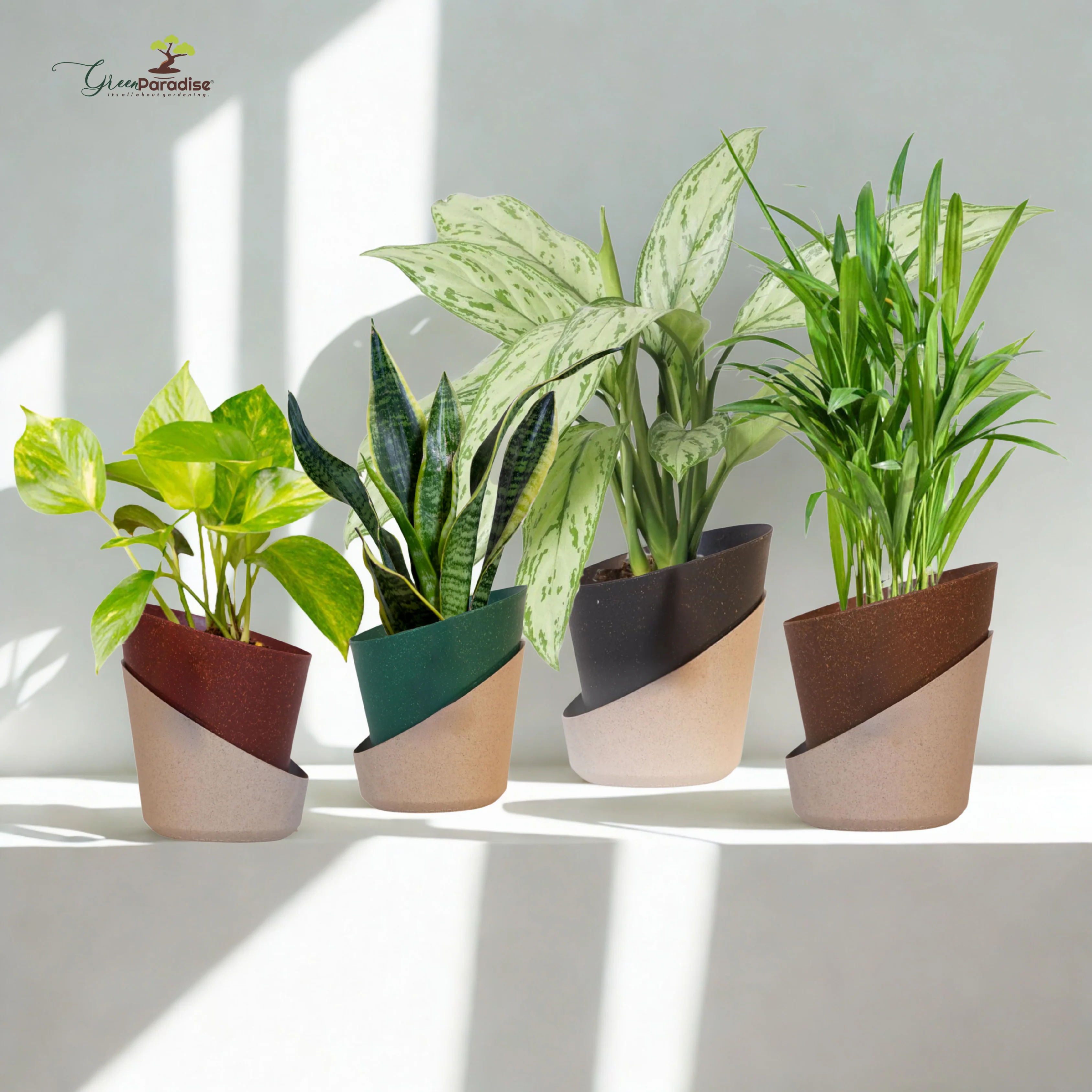Green Paradise® Eco-Friendly Self Watering Pot – Modern Aesthetic & Sustainable Build (Random Colors) - Image 11