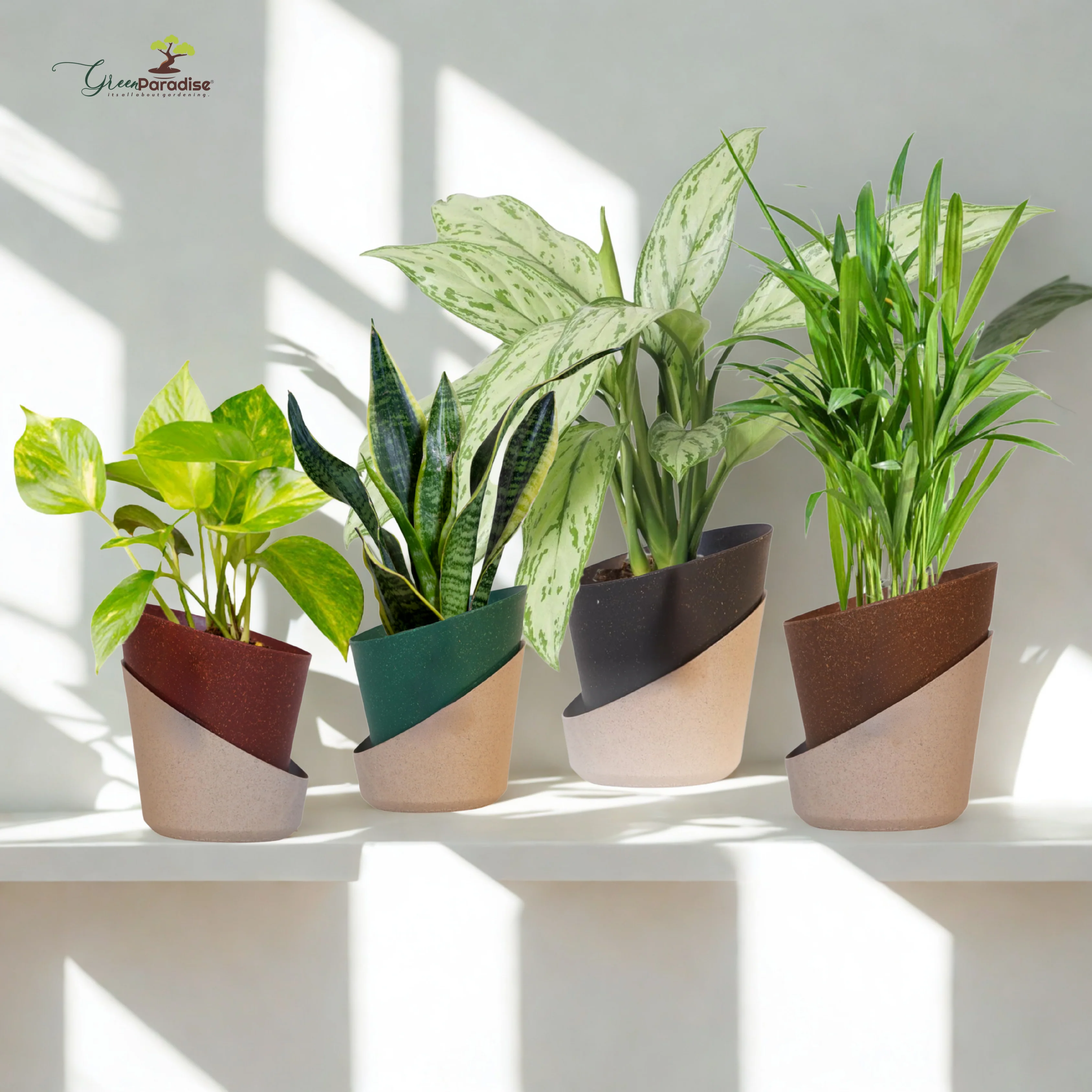 Green Paradise® Eco-Friendly Self Watering Pot – Modern Aesthetic & Sustainable Build (Random Colors) - Image 12