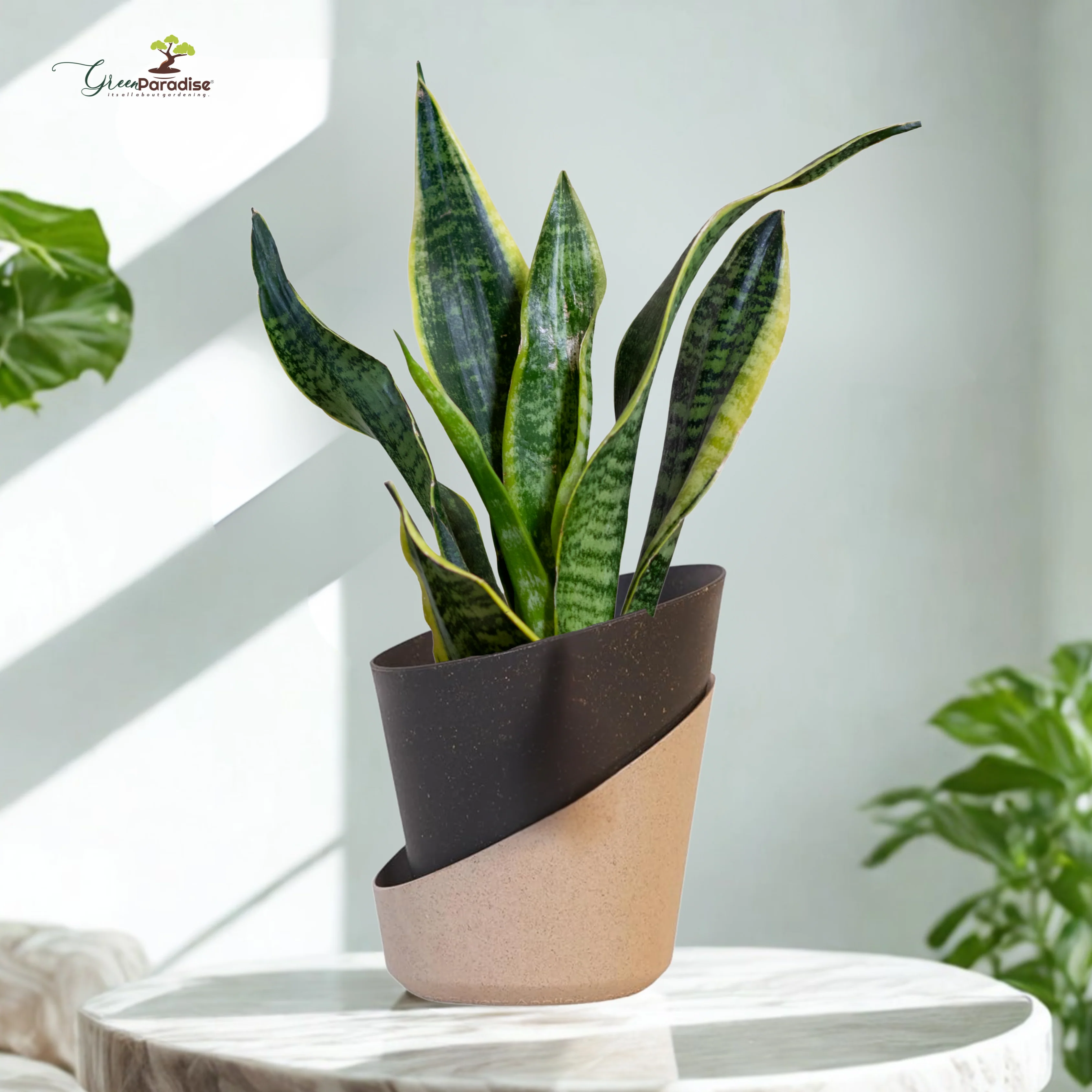 Green Paradise® Eco-Friendly Self Watering Pot – Modern Aesthetic & Sustainable Build (Random Colors) - Image 13