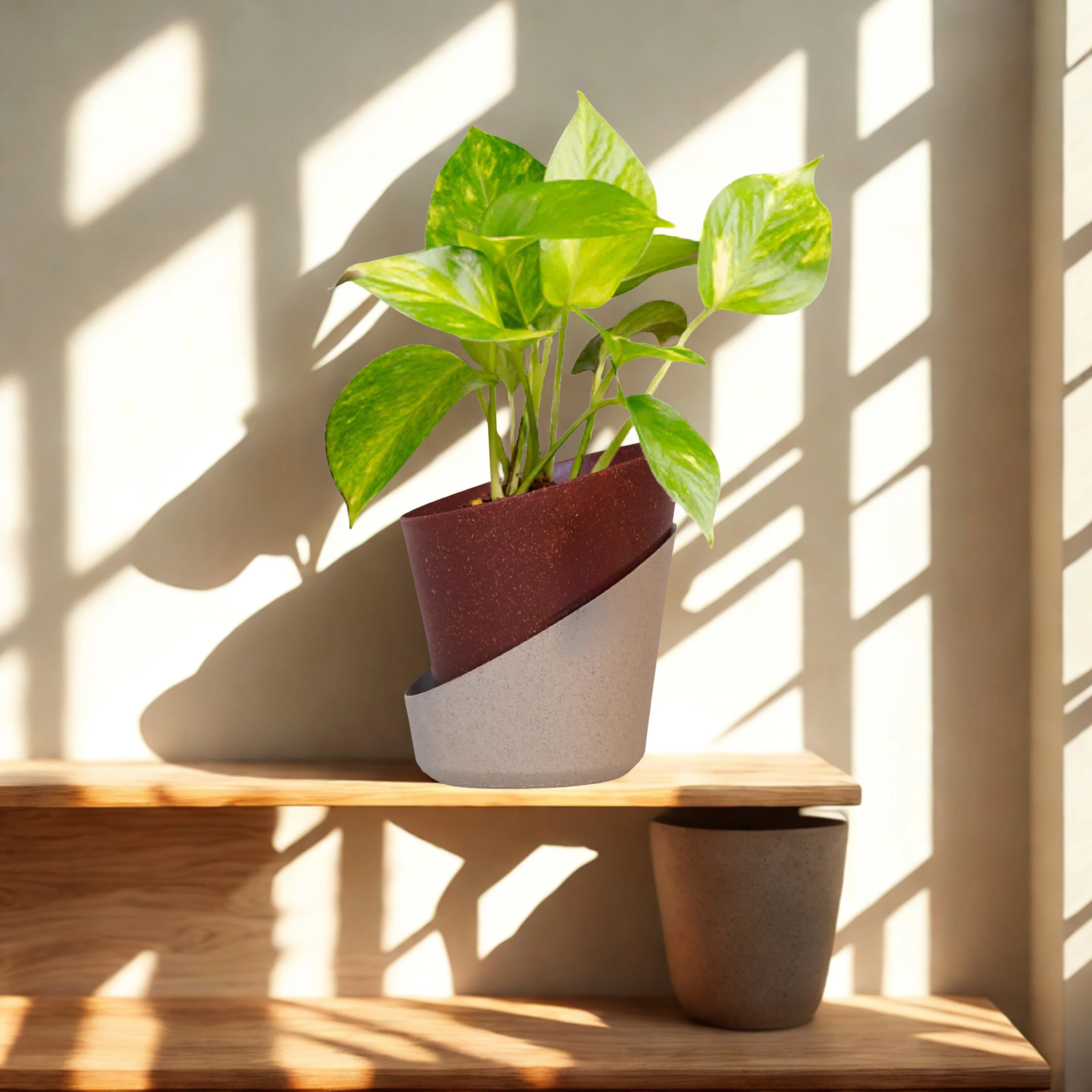 Green Paradise® Eco-Friendly Self Watering Pot – Modern Aesthetic & Sustainable Build (Random Colors) - Image 16