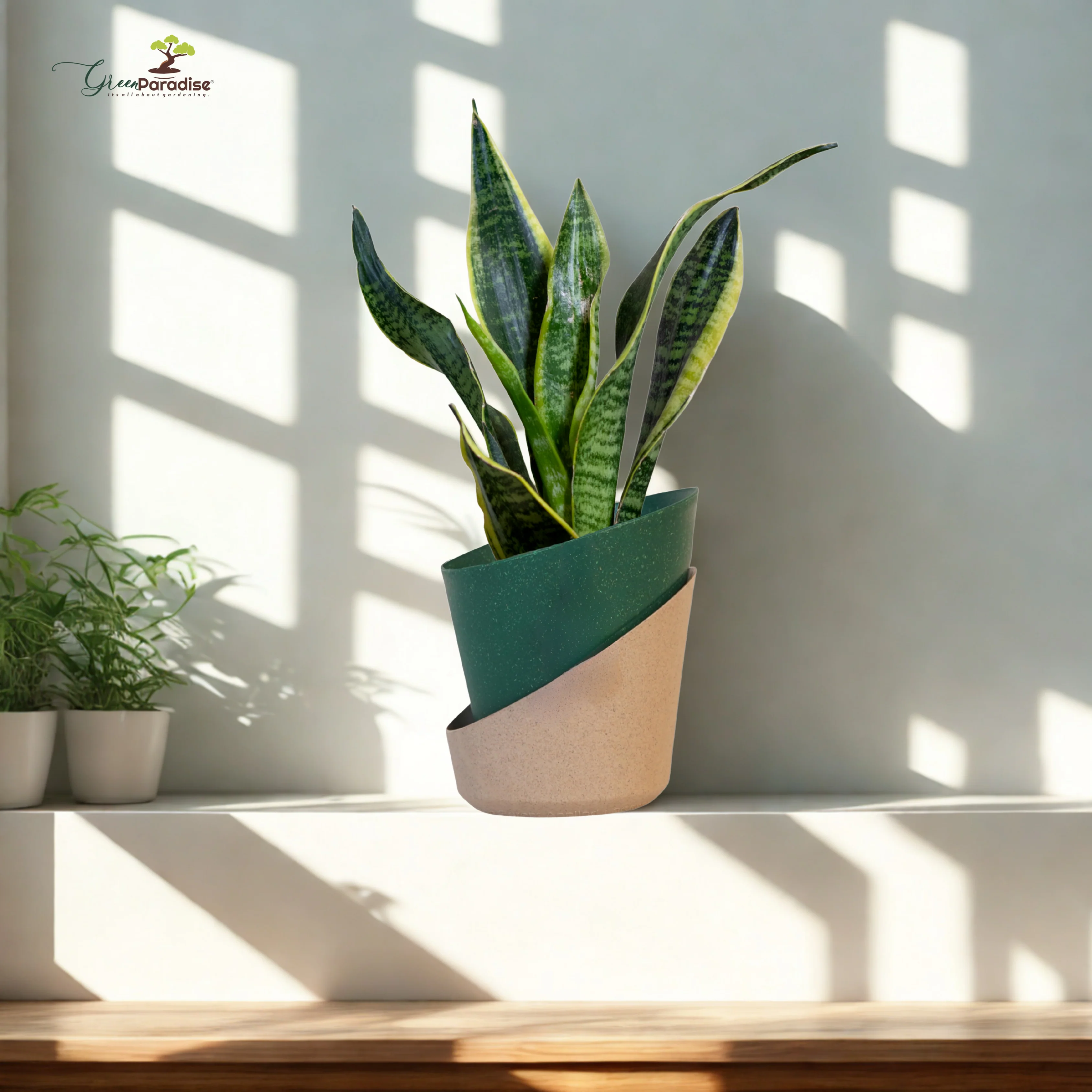 Green Paradise® Eco-Friendly Self Watering Pot – Modern Aesthetic & Sustainable Build (Random Colors) - Image 17