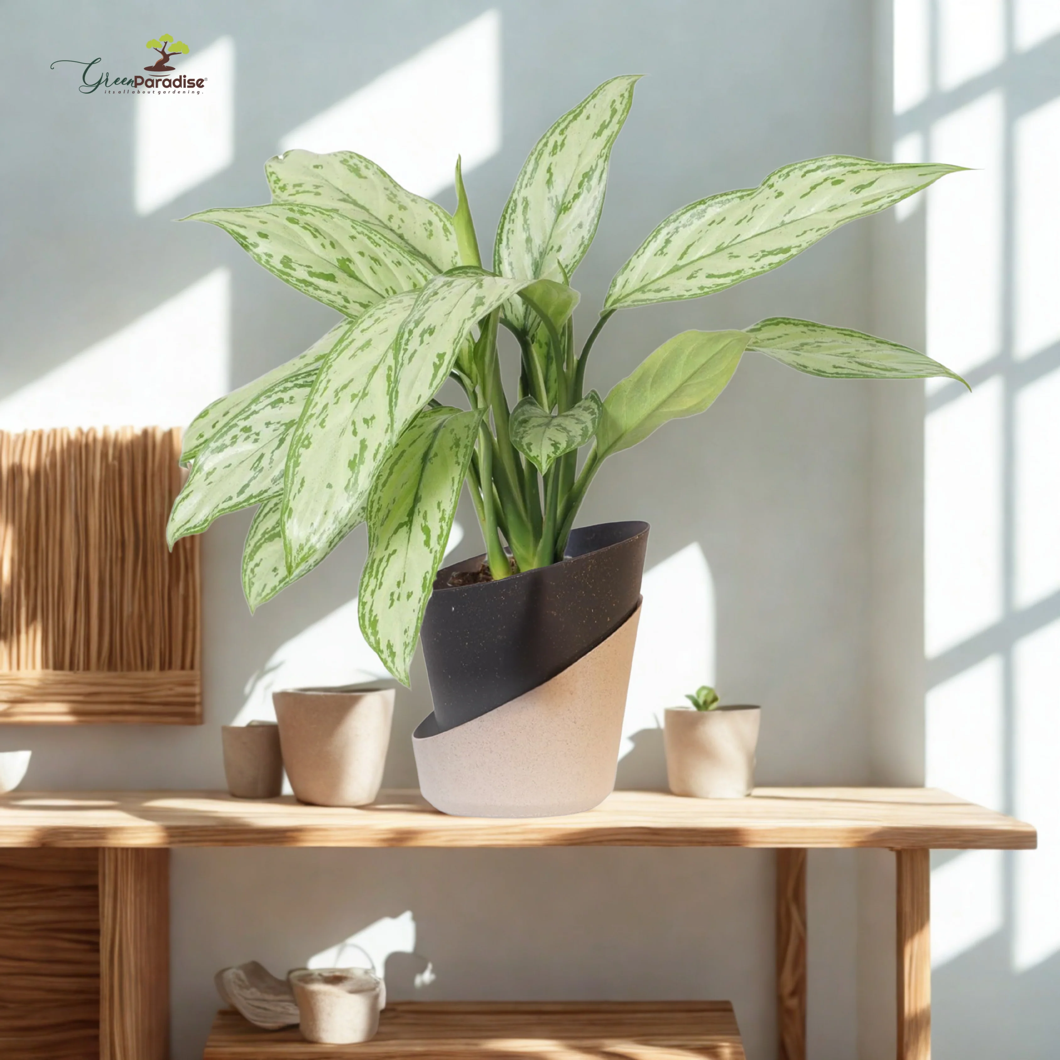 Green Paradise® Eco-Friendly Self Watering Pot – Modern Aesthetic & Sustainable Build (Random Colors) - Image 18