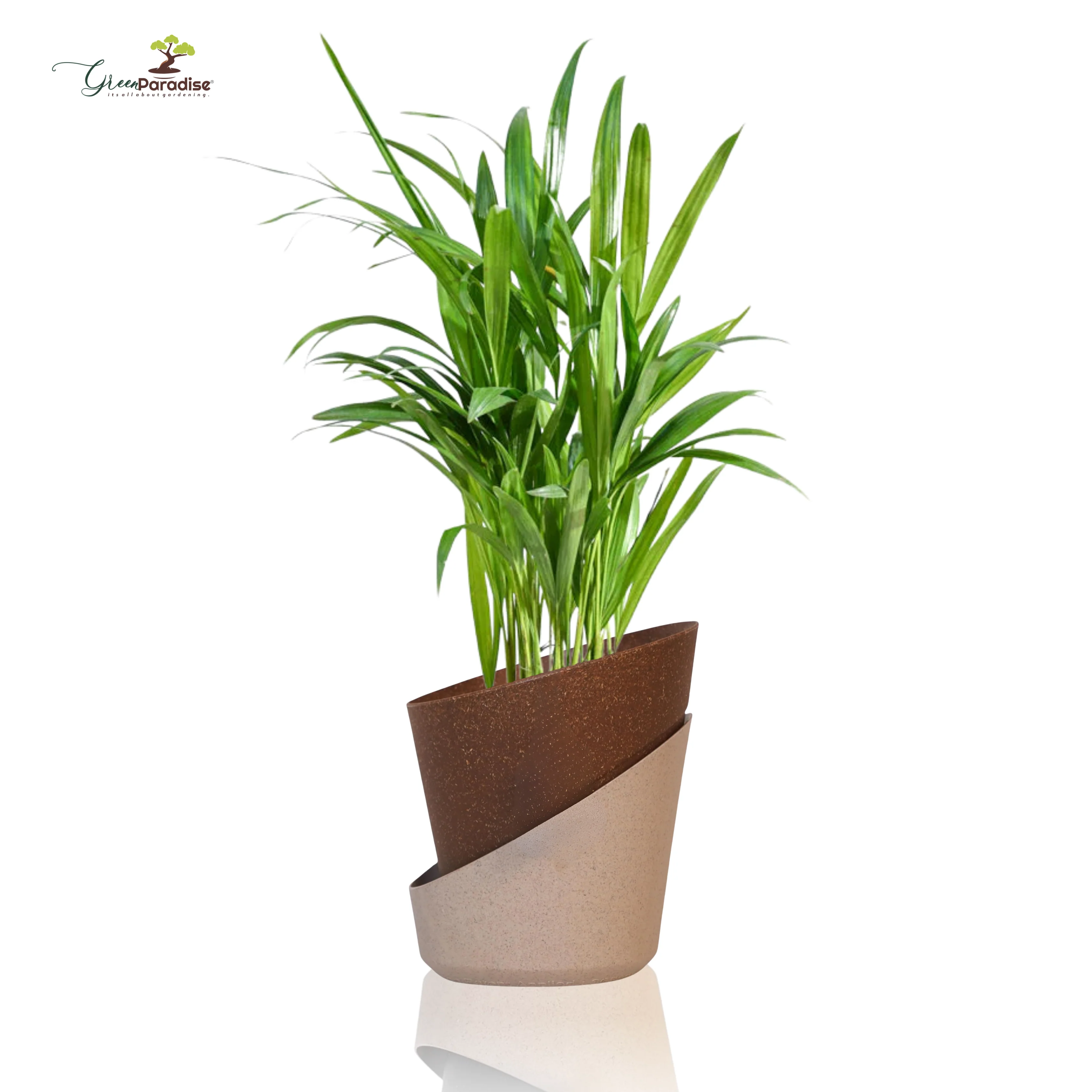 Green Paradise® Eco-Friendly Self Watering Pot – Modern Aesthetic & Sustainable Build (Random Colors) - Image 6