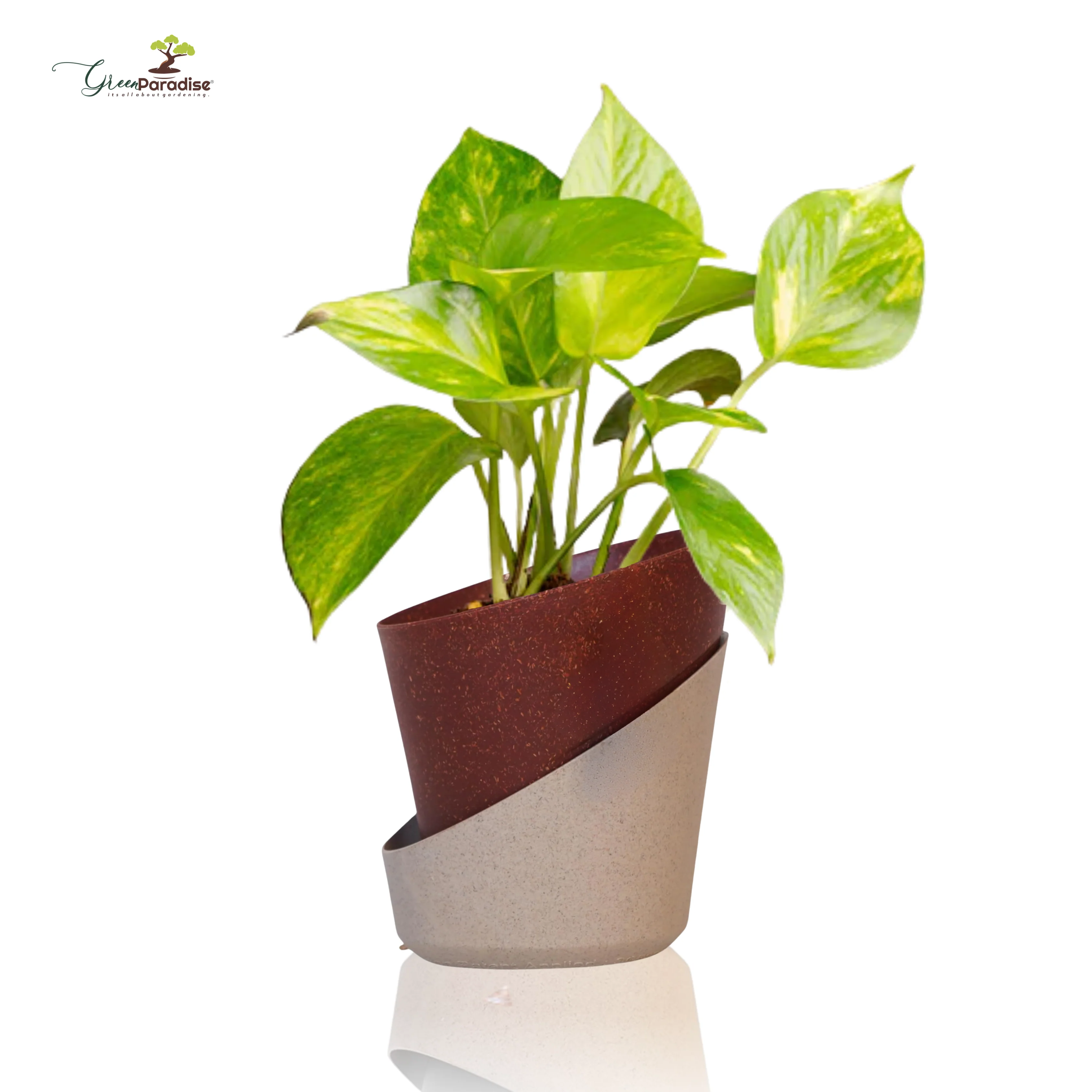 Green Paradise® Eco-Friendly Self Watering Pot – Modern Aesthetic & Sustainable Build (Random Colors) - Image 7