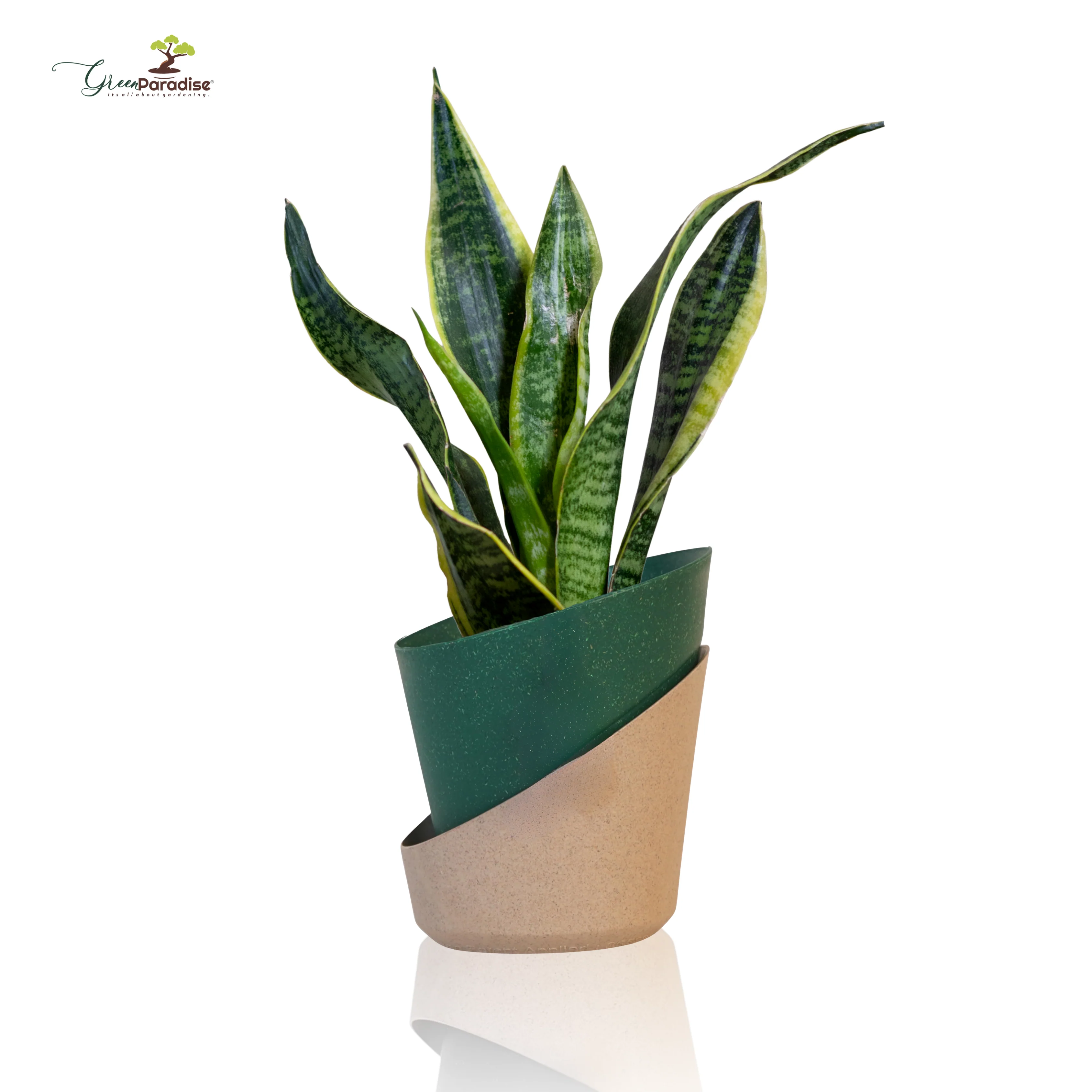 Green Paradise® Eco-Friendly Self Watering Pot – Modern Aesthetic & Sustainable Build (Random Colors) - Image 8