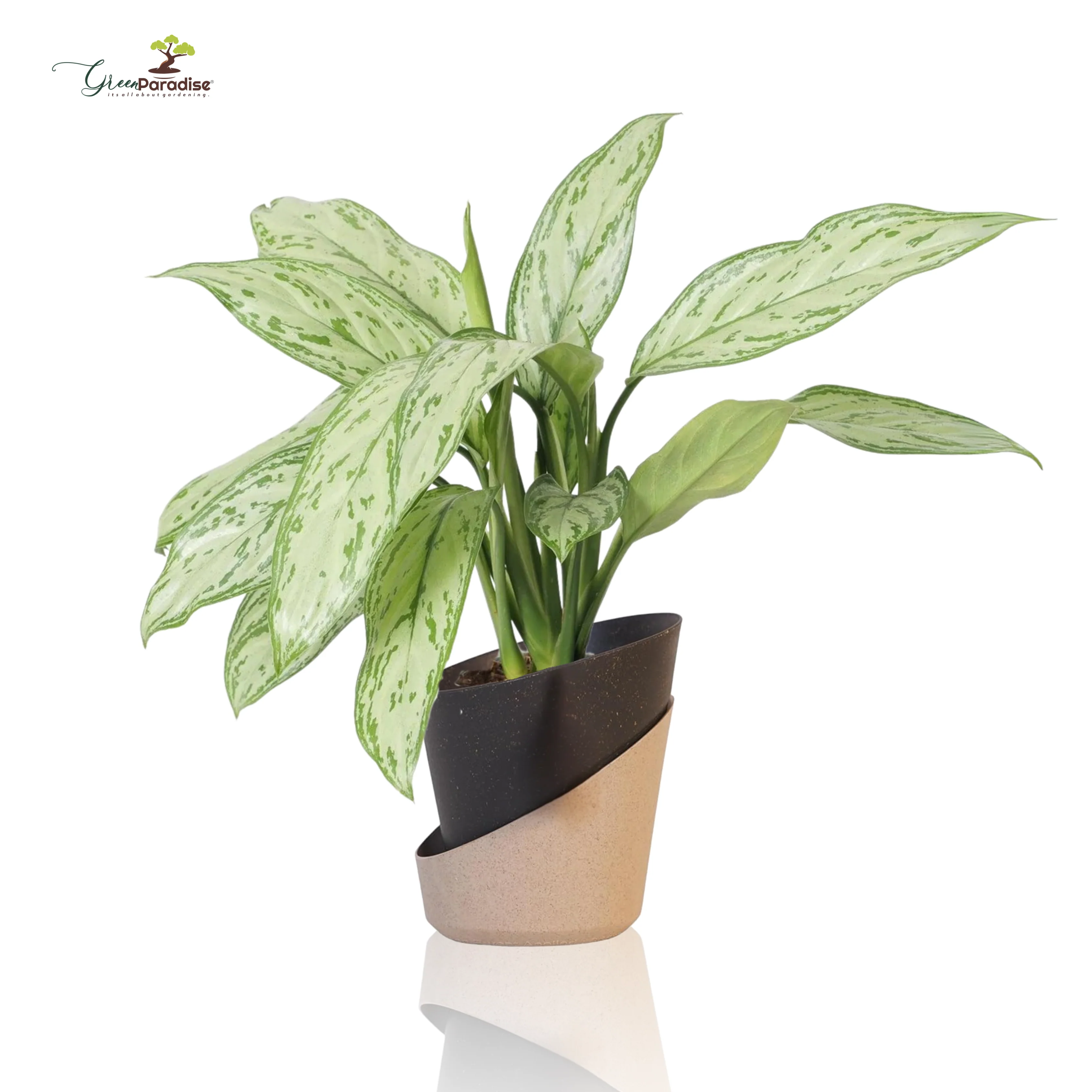 Green Paradise® Eco-Friendly Self Watering Pot – Modern Aesthetic & Sustainable Build (Random Colors) - Image 9