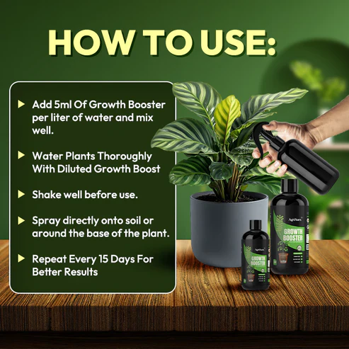 Green Paradise® Growth Booster Concentrate – All-in-One Plant Tonic 100% Organic (200ml) - Image 2
