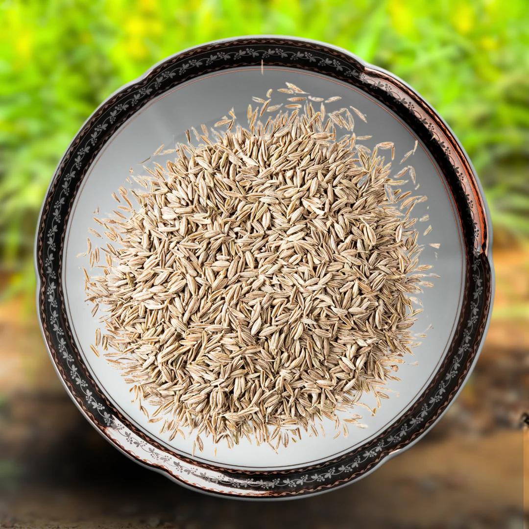 Green Paradise® Lemon Grass (Herbs) Seeds Pack - Image 2