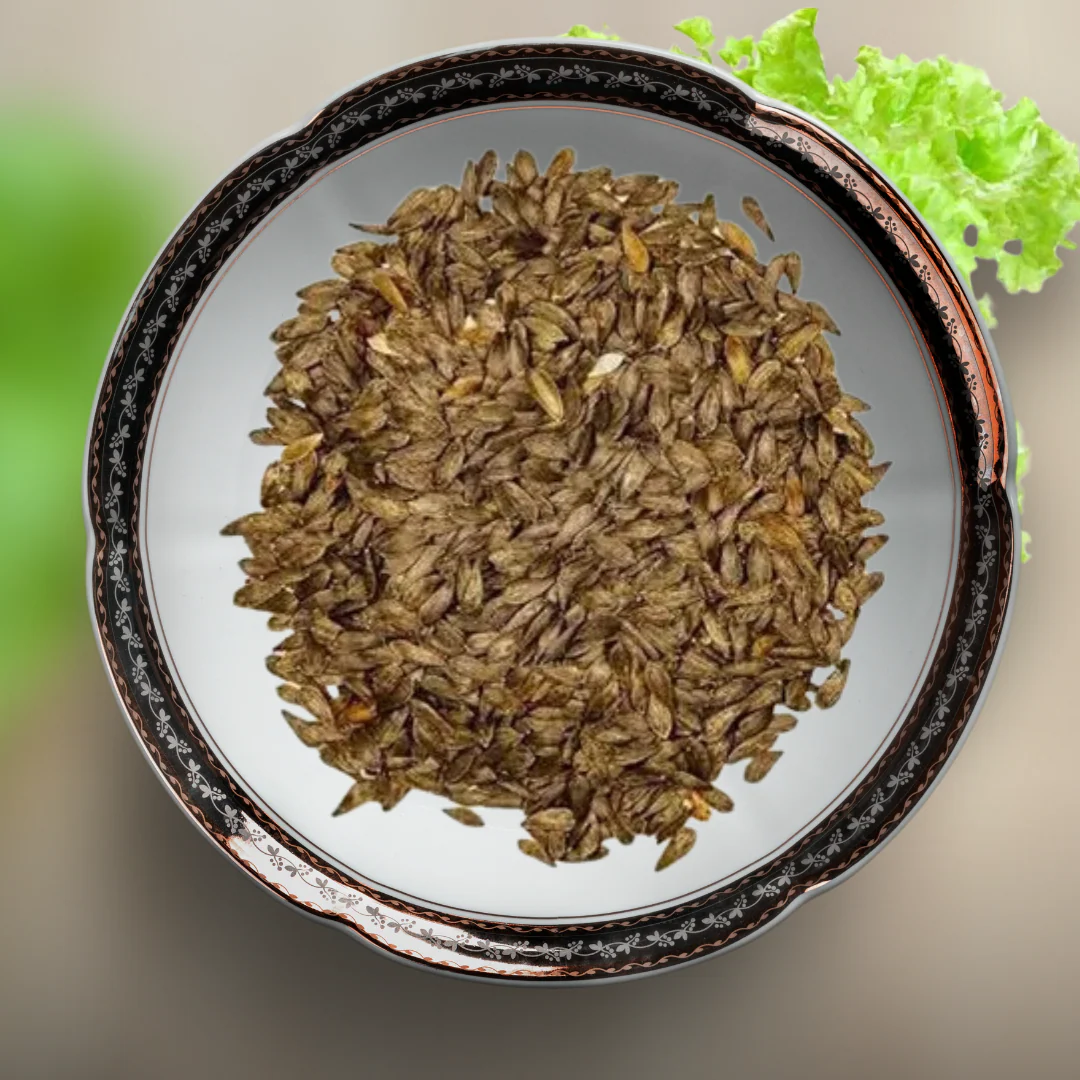 Green Paradise® Lettuce Green Rapid Seeds Pack - Image 2