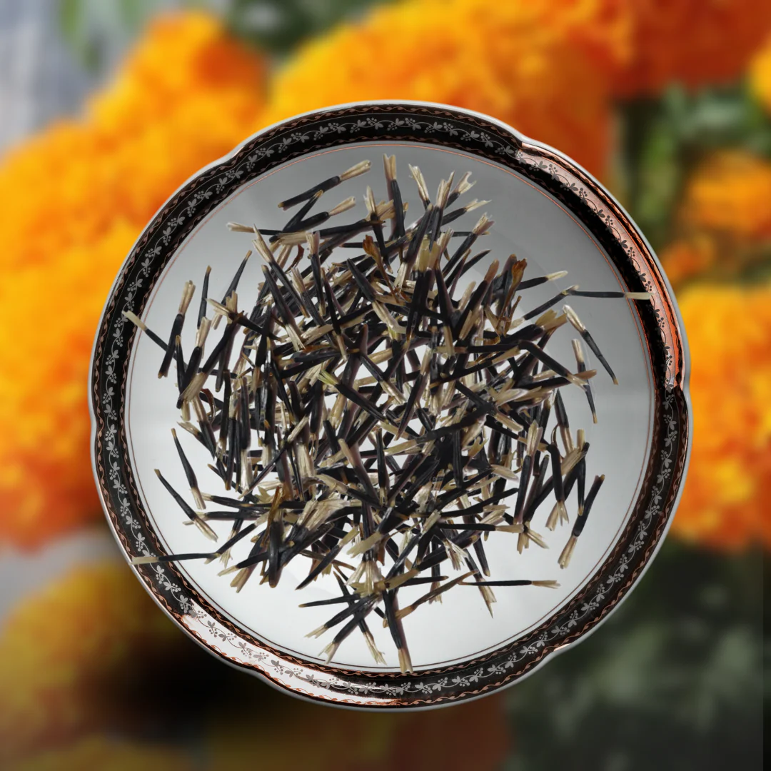 Green Paradise® Marigold Flower Seeds Pack - Image 2