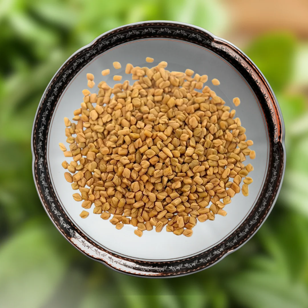 Green Paradise® Methi Seeds Pack - Image 2