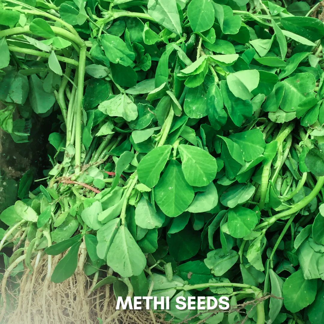 Green Paradise® Methi Seeds Pack - Image 3