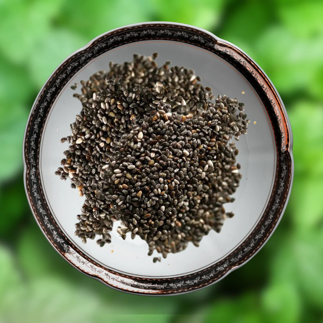 Green Paradise® Mint IMP. (Herbs) Seeds Pack - Image 2