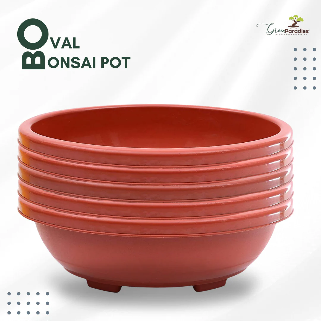 Green Paradise® Oval Bonsai Pots Premium Plastic Pot Durable & Long Lasting Pot - Image 12