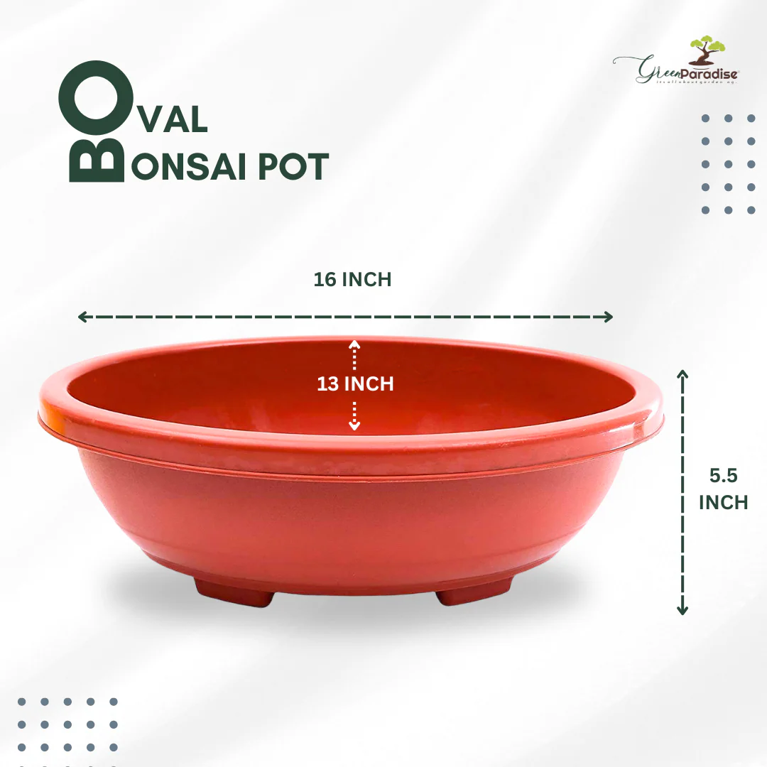 Green Paradise® Oval Bonsai Pots Premium Plastic Pot Durable & Long Lasting Pot - Image 13