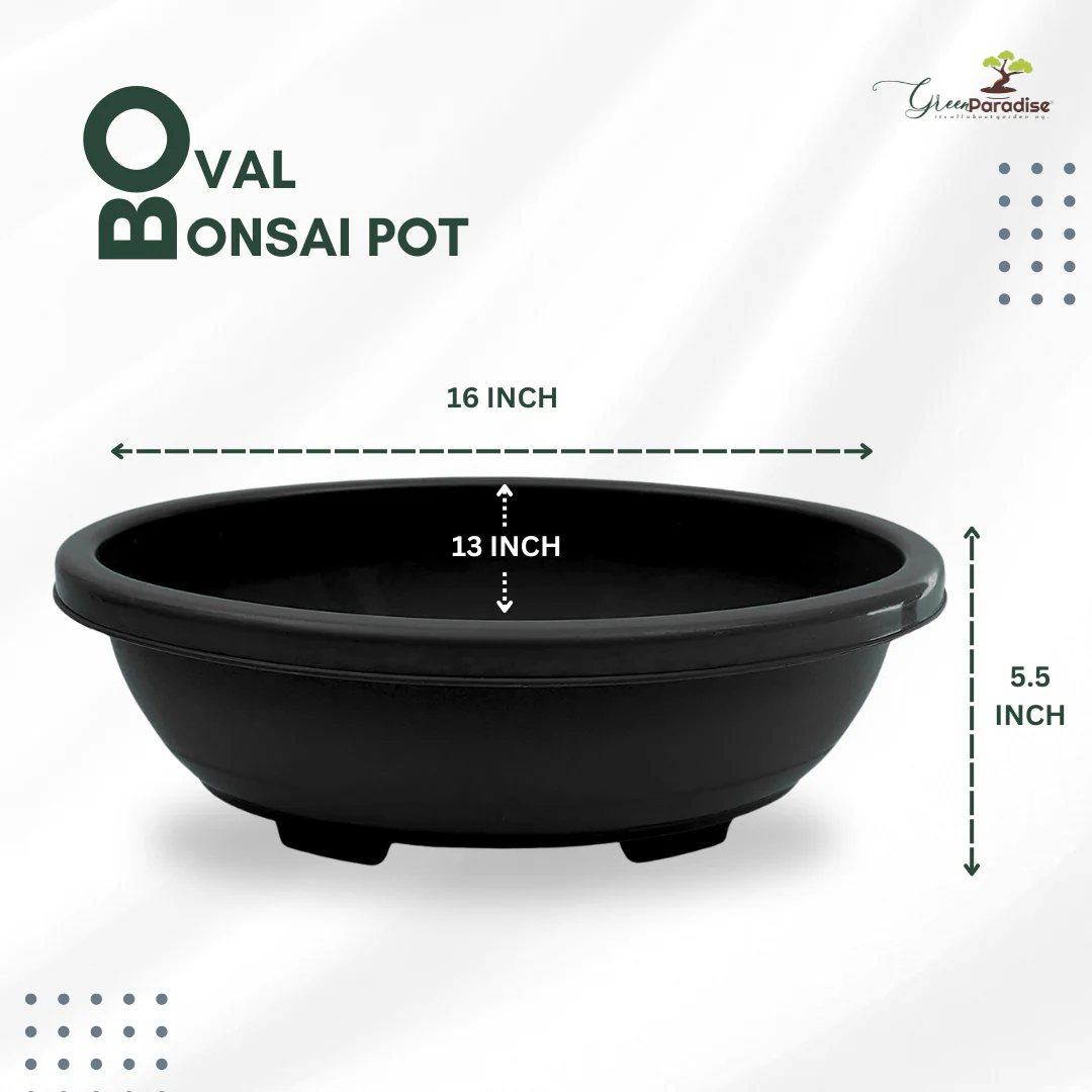 Green Paradise® Oval Bonsai Pots Premium Plastic Pot Durable & Long Lasting Pot - Image 17