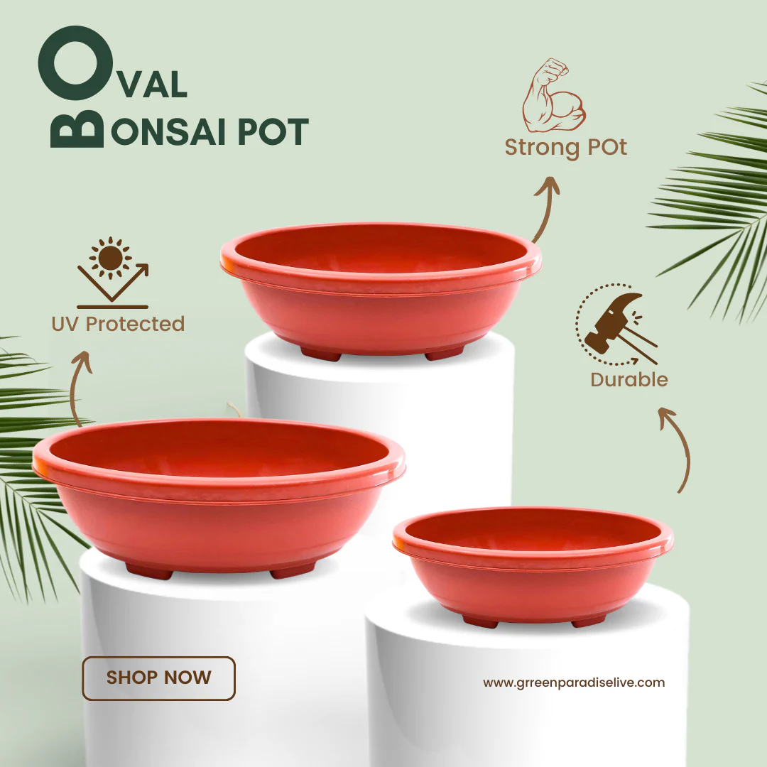 Green Paradise® Oval Bonsai Pots Premium Plastic Pot Durable & Long Lasting Pot - Image 3