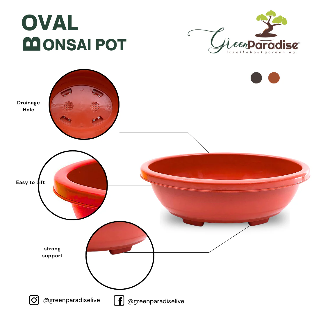 Green Paradise® Oval Bonsai Pots Premium Plastic Pot Durable & Long Lasting Pot - Image 4