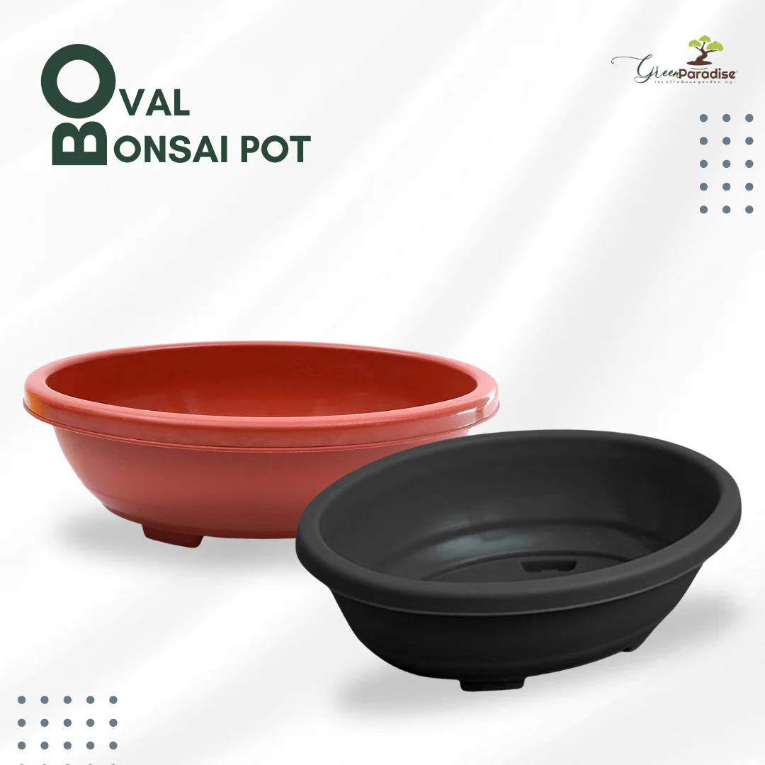 Green Paradise® Oval Bonsai Pots Premium Plastic Pot Durable & Long Lasting Pot - Image 5