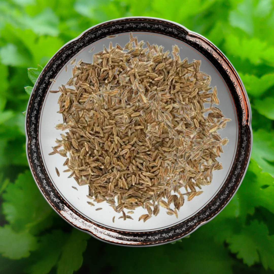 Green Paradise® Parsley IMP Seeds Pack - Image 2