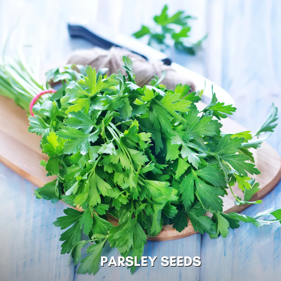 Green Paradise® Parsley IMP Seeds Pack - Image 5