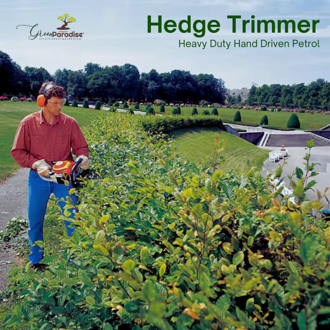 Green Paradise® Petrol Hedge Trimmer HS-45 | Powerful & Lightweight Hedge Cutter for Professional Landscaping - Image 4