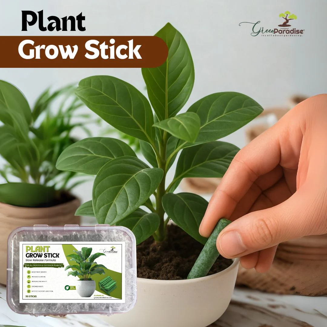Green Paradise® Plant Grow Stick – 50 Sticks | Boost Growth, Flowering & Soil Fertility