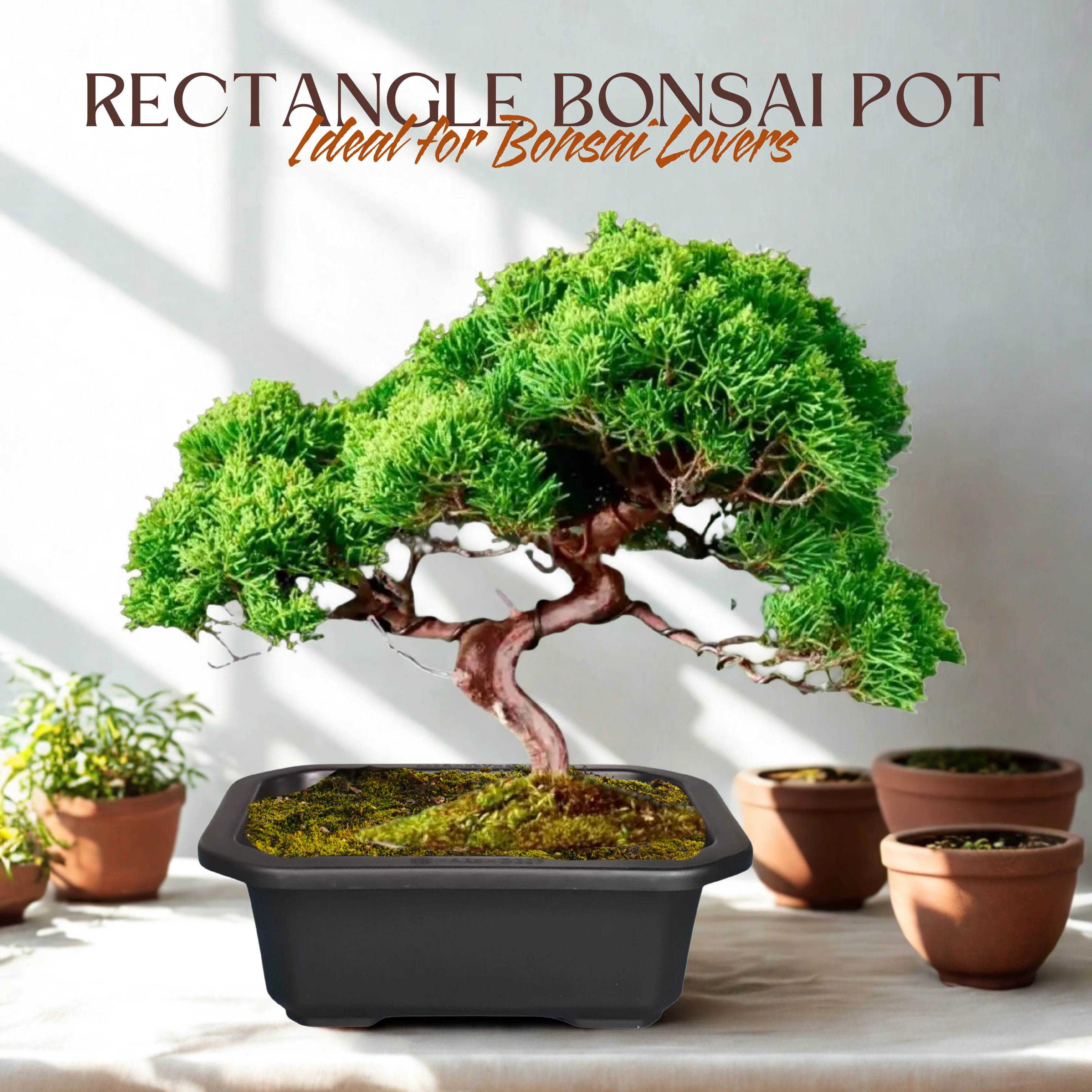 Green Paradise® Premium Black Rectangular Bonsai Pot Durable Plastic 21cm pot - Image 7