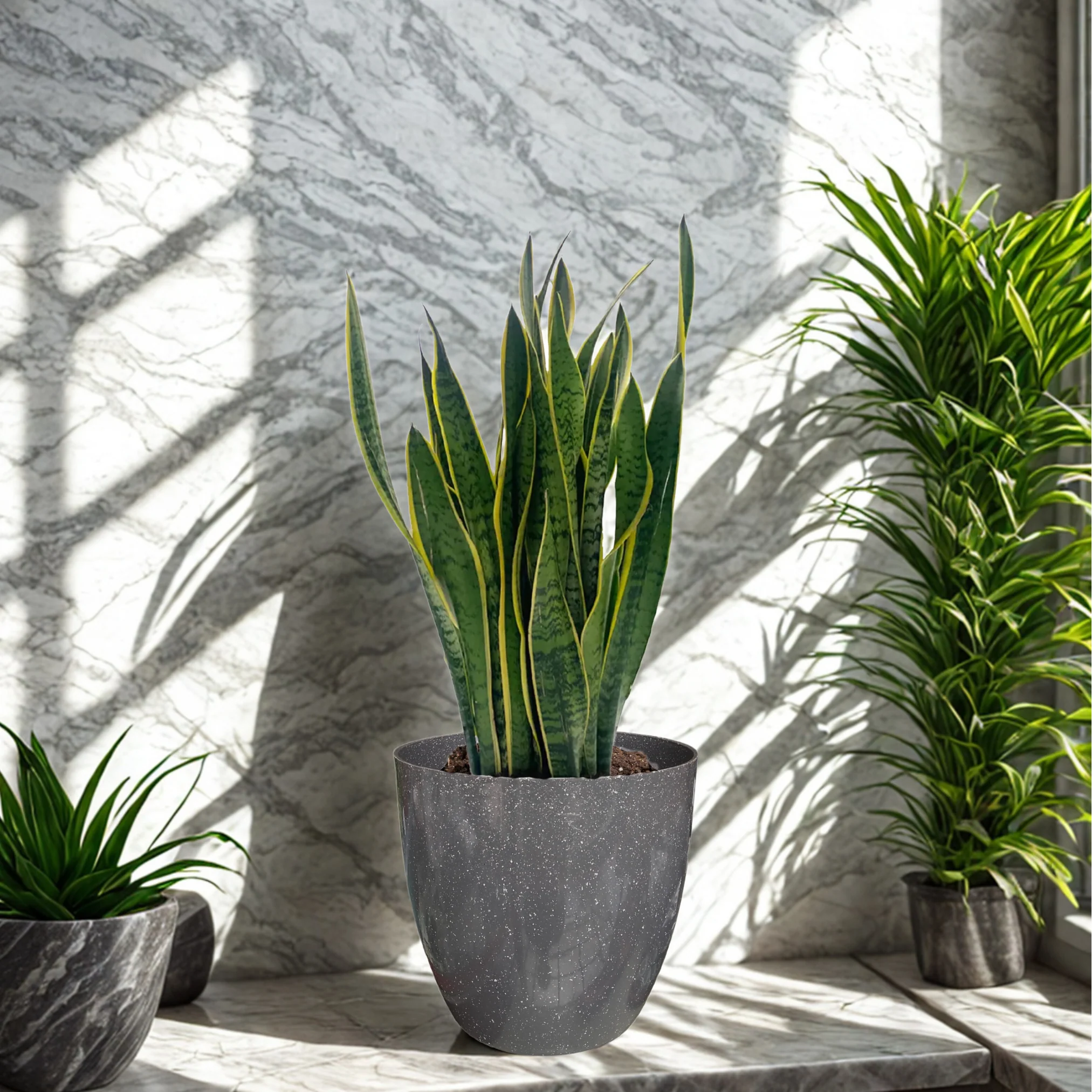 Green Paradise® Premium Grey Plastic Pot – Elegant Indoor & Outdoor Planter for your garden - Image 5