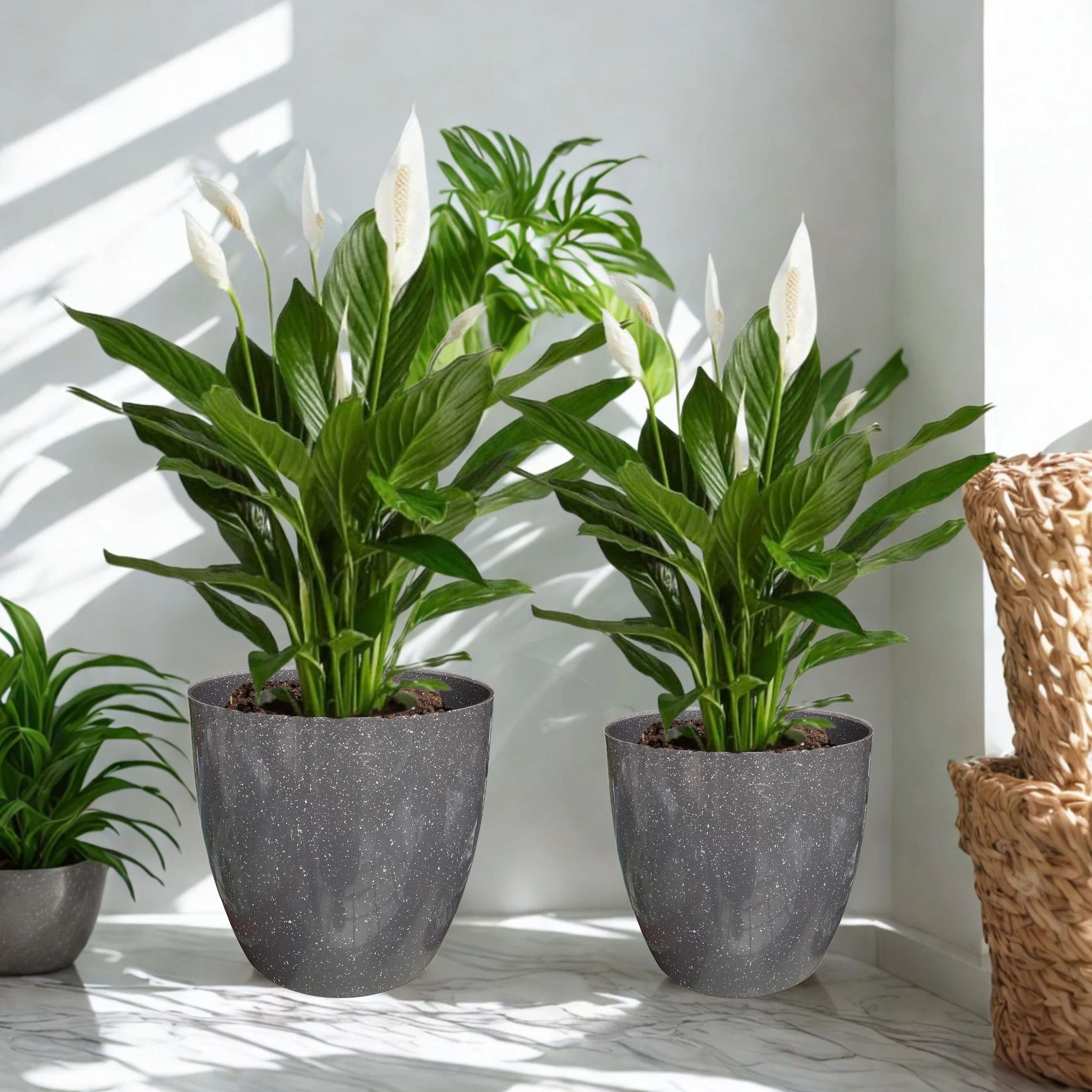 Green Paradise® Premium Grey Plastic Pot – Elegant Indoor & Outdoor Planter for your garden - Image 6