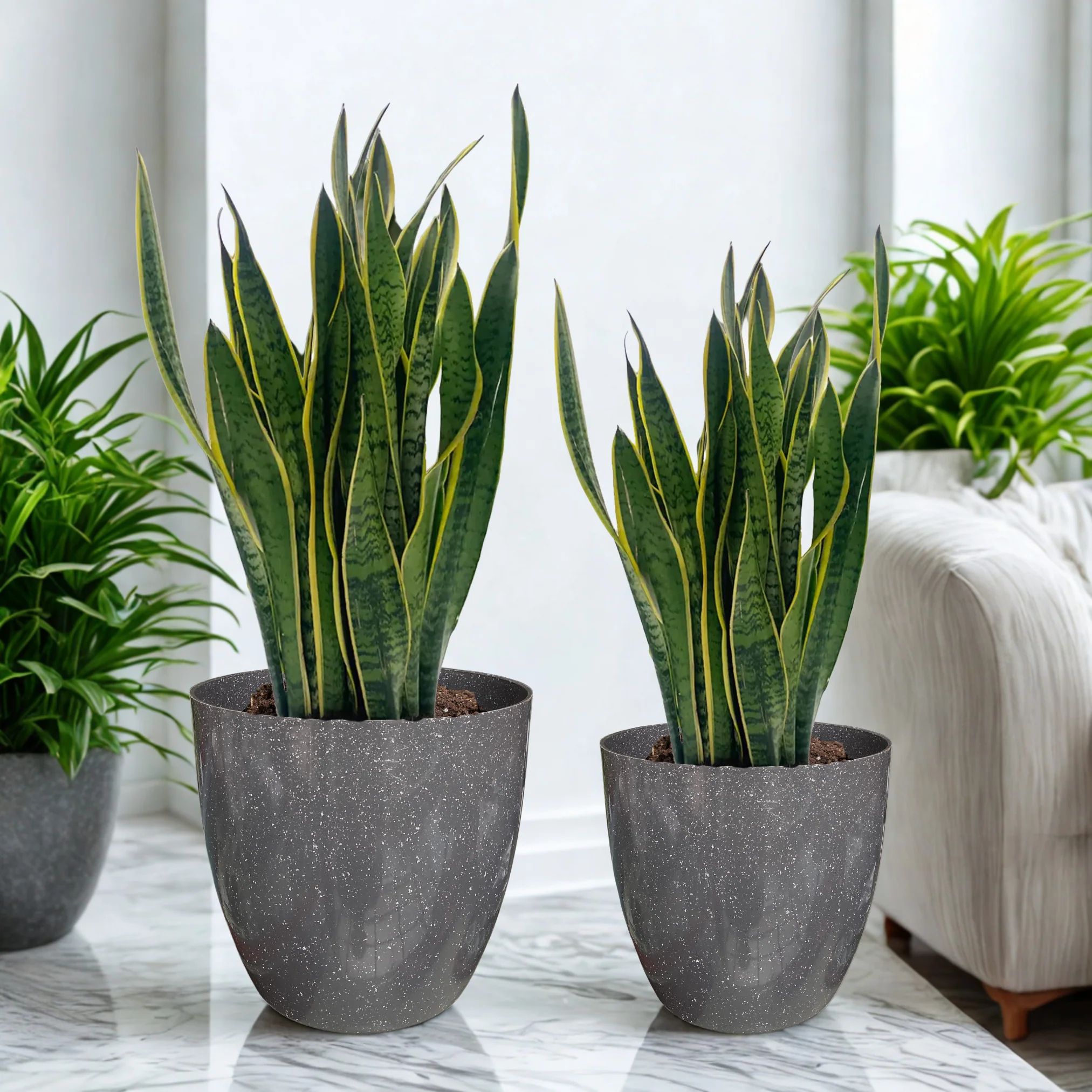 Green Paradise® Premium Grey Plastic Pot – Elegant Indoor & Outdoor Planter for your garden - Image 8