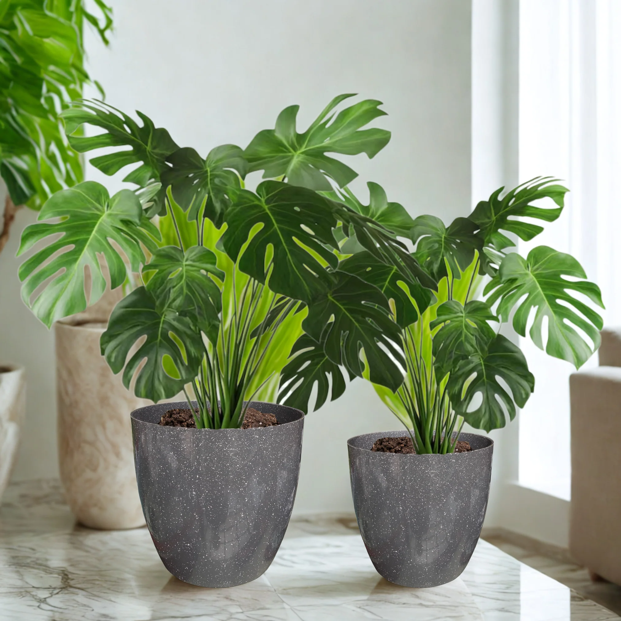 Green Paradise® Premium Grey Plastic Pot – Elegant Indoor & Outdoor Planter for your garden - Image 9