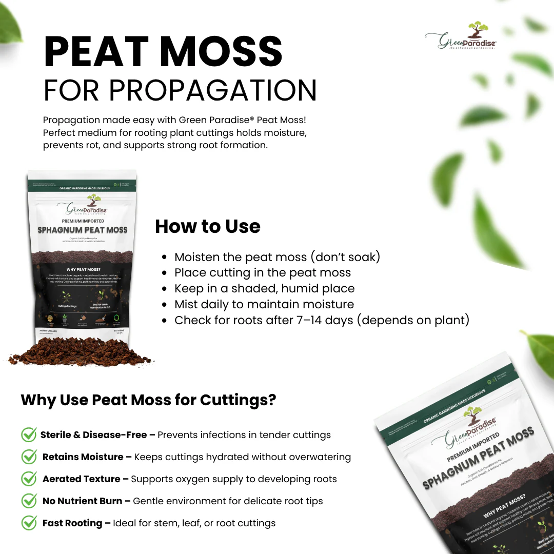 Green Paradise® Premium Imported Sphagnum Peat Moss – Organic Soil Conditioner for Seed Starting, Potting Mix & Propagation - Image 4