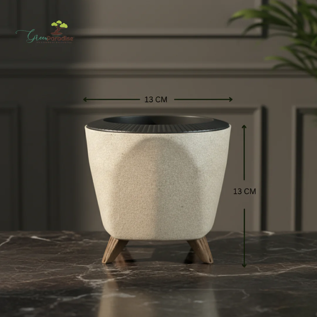 Green Paradise® Premium Plastic Pot Durable & Lightweight Planters - Image 2