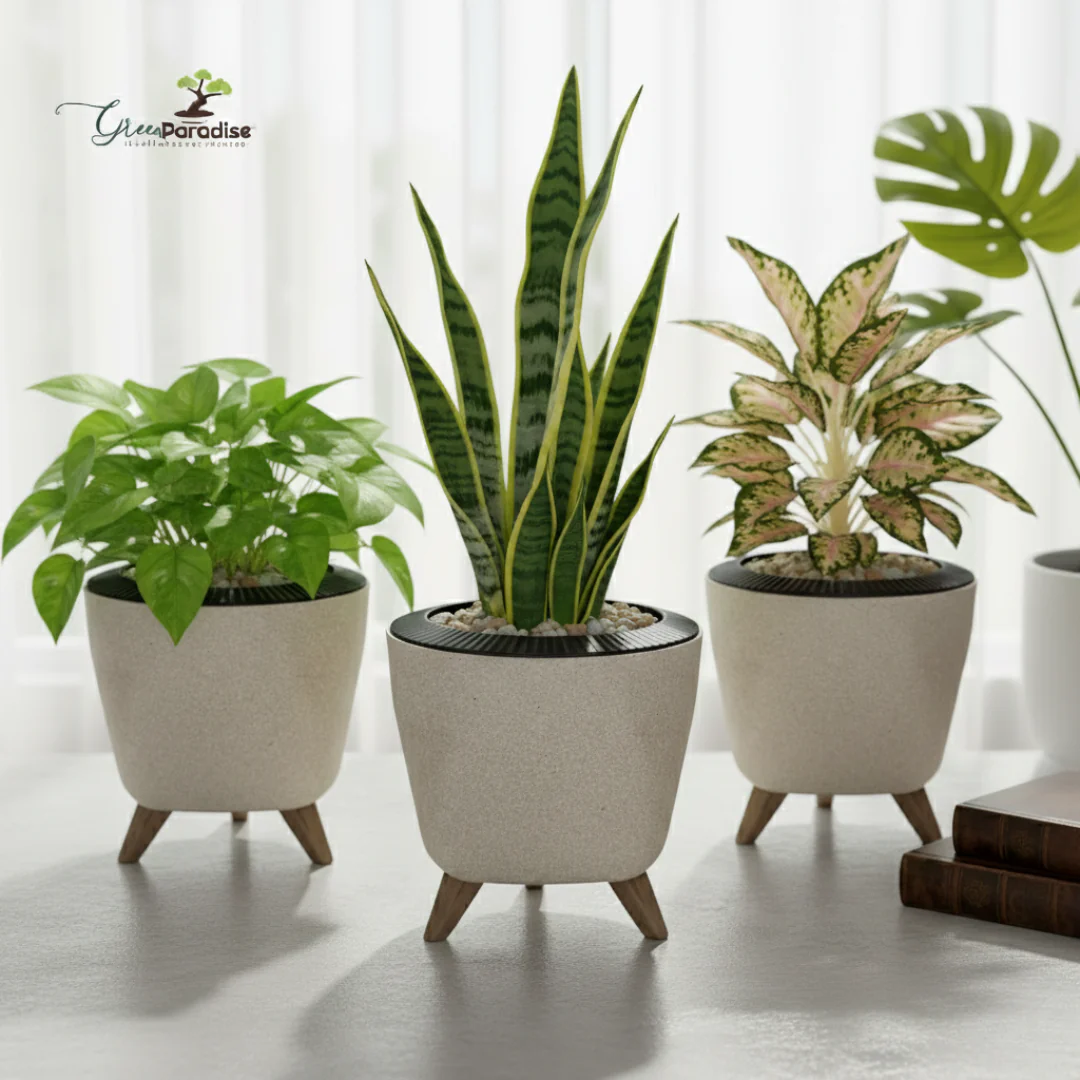 Green Paradise® Premium Plastic Pot Durable & Lightweight Planters - Image 3