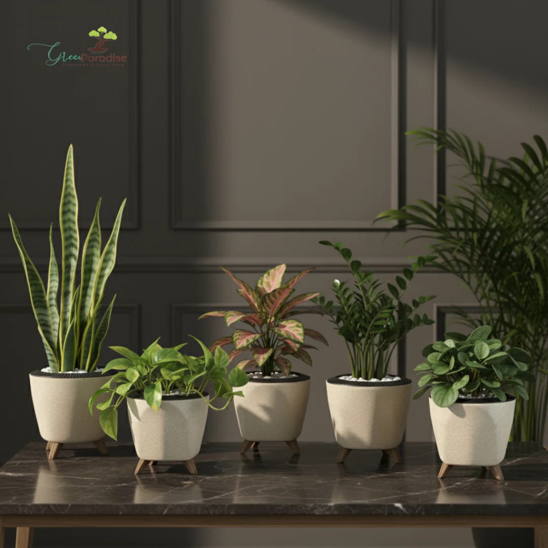 Green Paradise® Premium Plastic Pot Durable & Lightweight Planters - Image 7