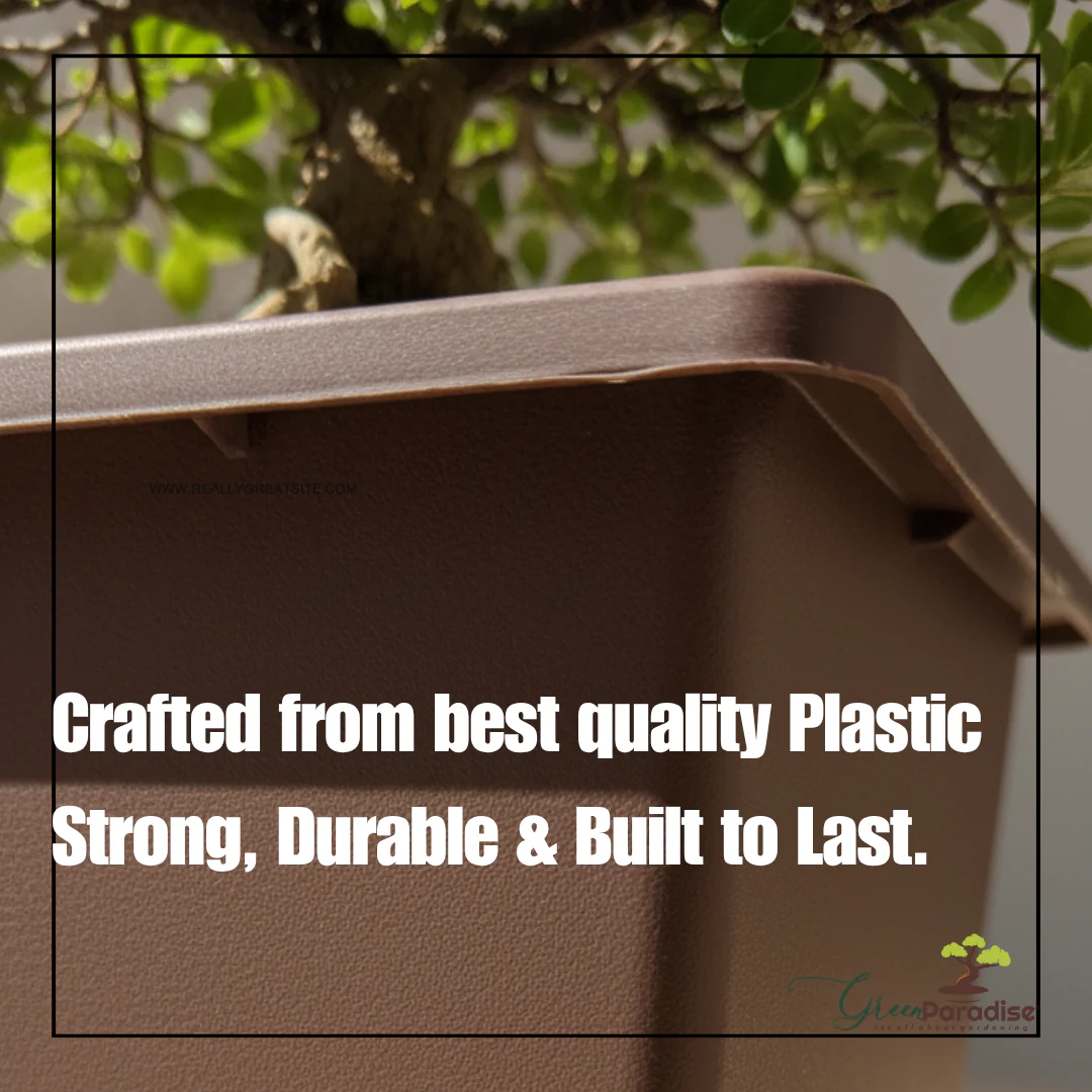 Green Paradise® Bonsai Training Pots plastic pots Tall Square bonsai pots purple clay color Plastic Bonsai Pots - Image 14