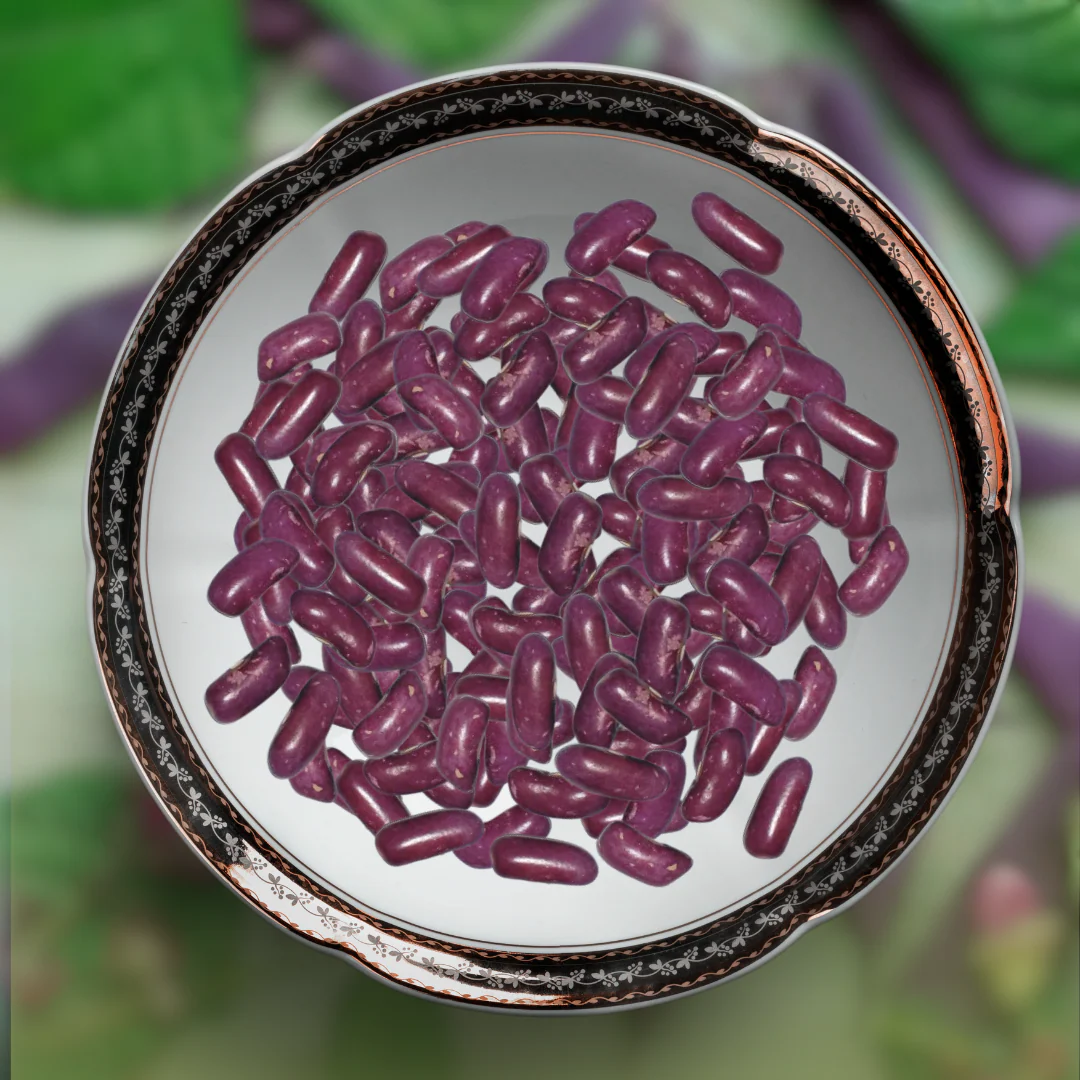 Green Paradise® Purple Beans Seeds Pack - Image 2