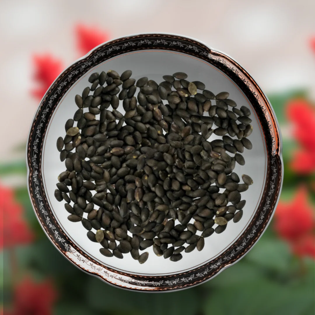 Green Paradise® Red Salvia Flower Seeds Pack - Image 2