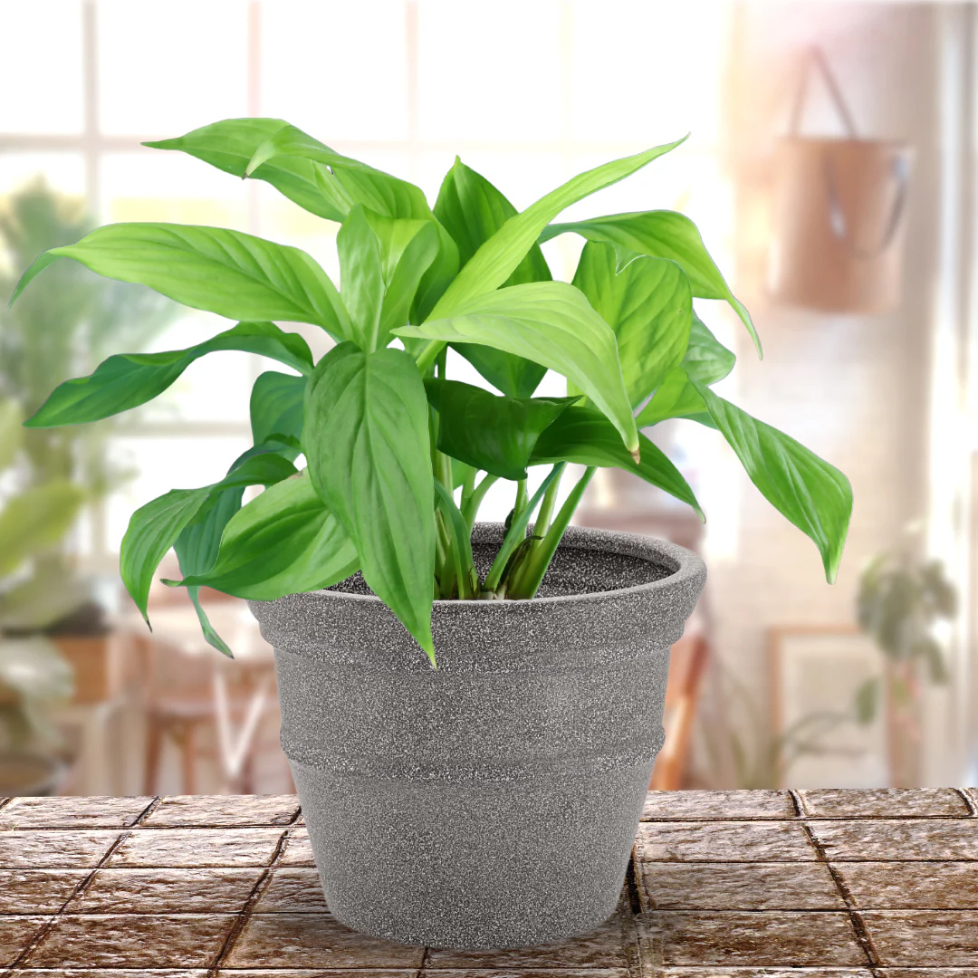 Green Paradise® Rock Round Roto Molded High Quality Premium Planter - Image 5