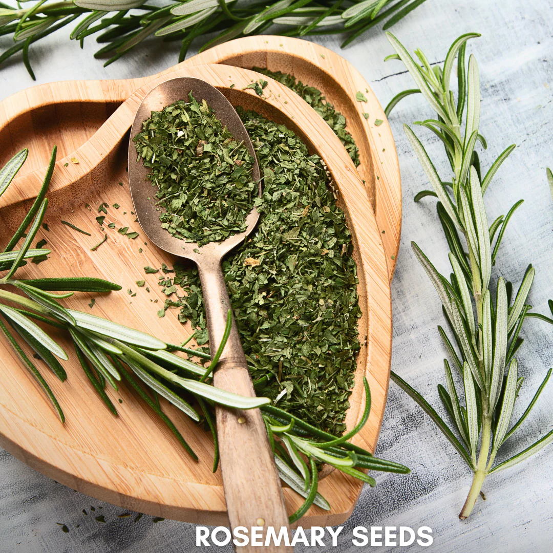 Green Paradise® Rosemary (IMP) Seeds Pack - Image 4