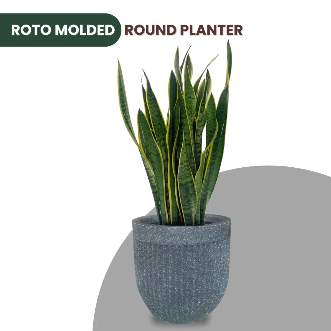 Green Paradise® Roto Molded Marble Finish Round Planter – 12 Inch – Lightweight, Unbreakable, Marble Finish, Drainage Hole, Outdoor & Indoor Use - Image 7
