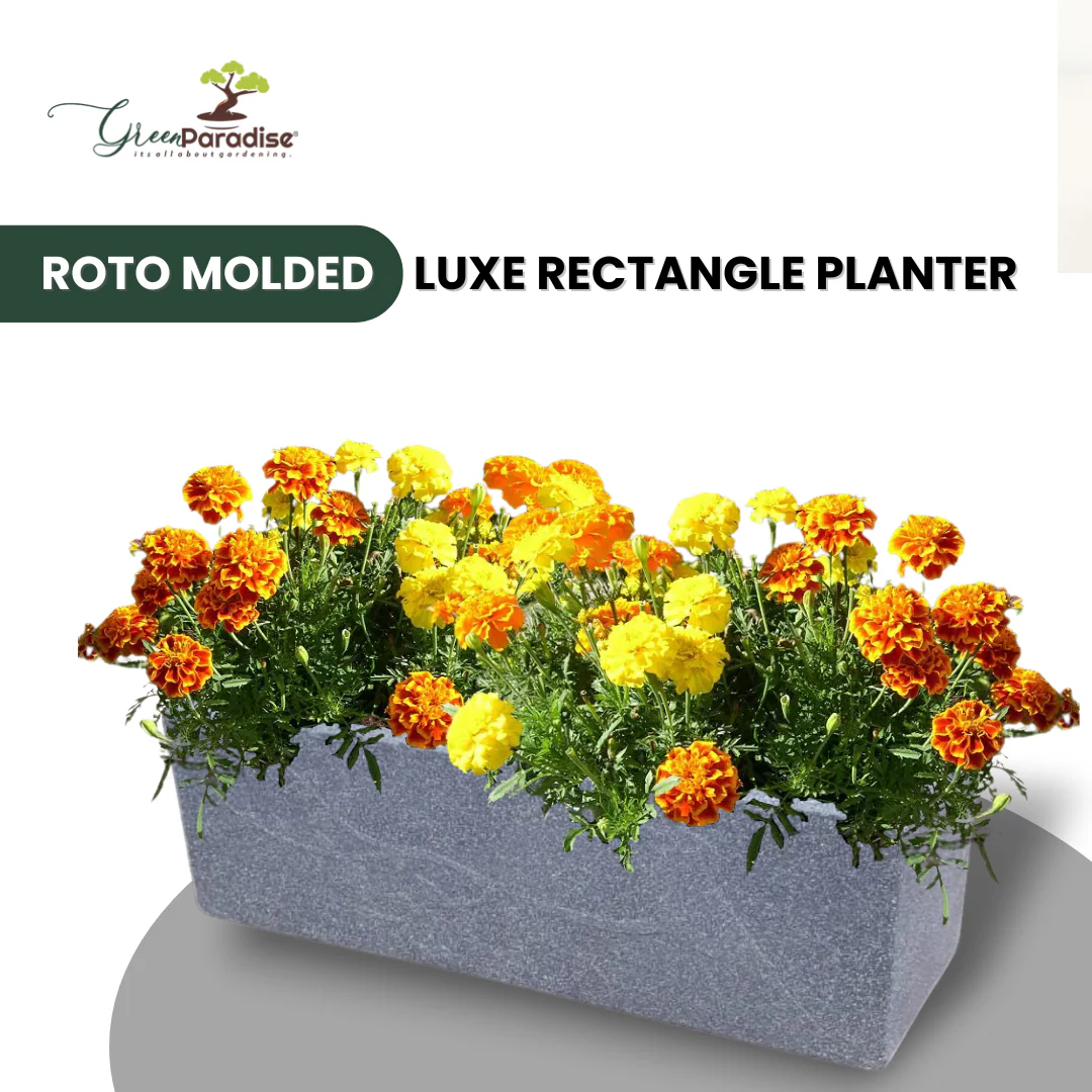 Green Paradise® Roto Molded Luxe Rectangle Planter Durable, Elegant & Weather-Resistant (18 inch) - Image 4