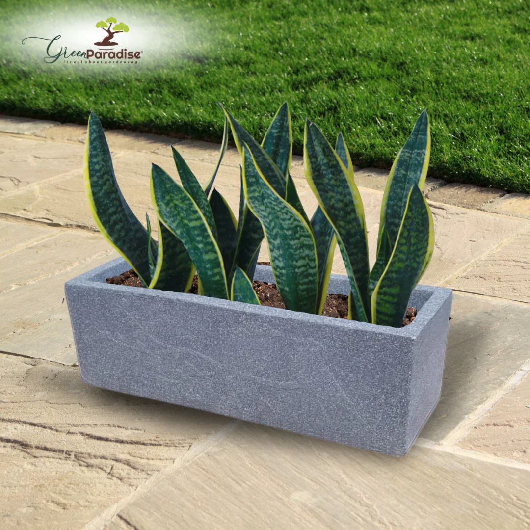 Green Paradise® Roto Molded Luxe Rectangle Planter Durable, Elegant & Weather-Resistant (18 inch) - Image 7