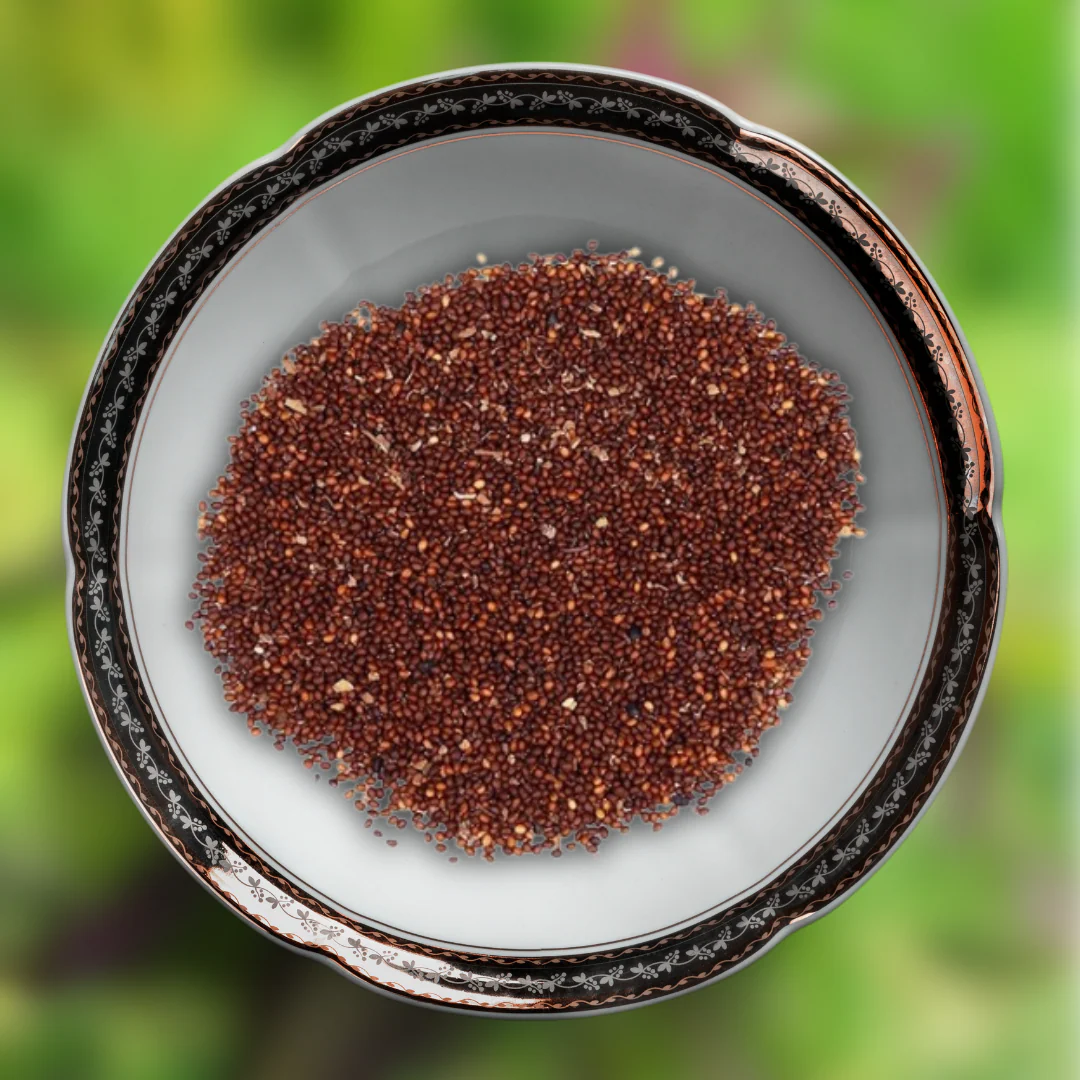 Green Paradise® Shyam Tulsi Seeds | Holy Basil for Health, Pooja & Home Gardening | High Germination, Non-GMO - Image 2
